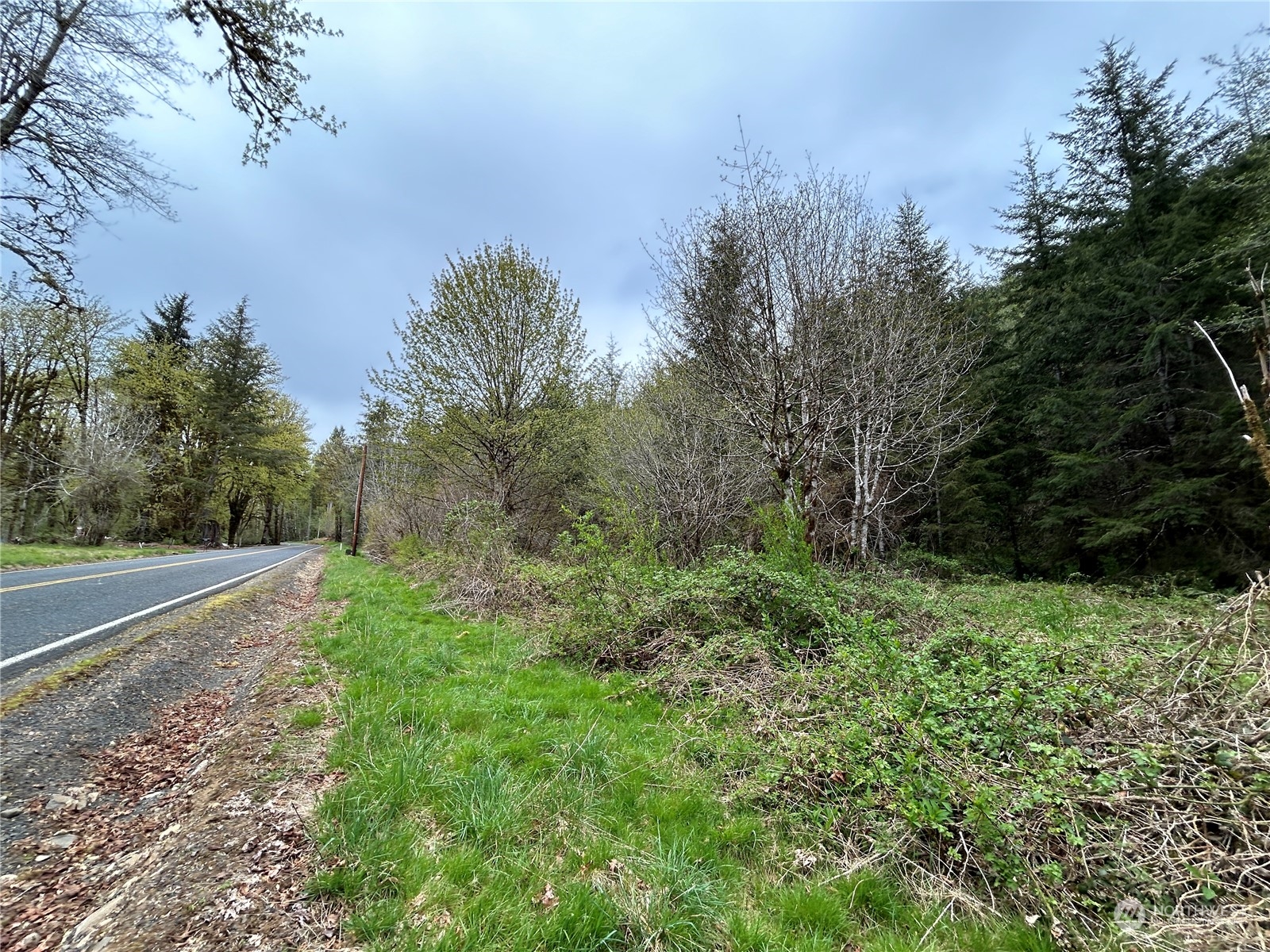 0 Lot 4 Abernathy Creek Road