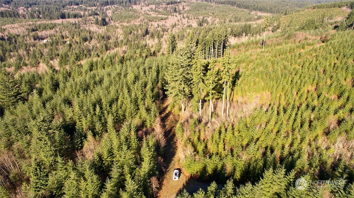 3 Jones Creek Road
