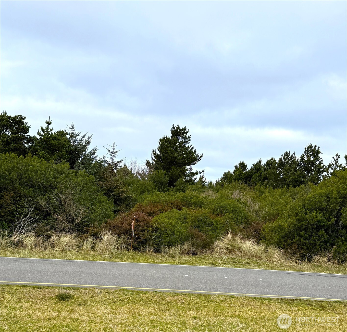 657 Ocean Shores Boulevard