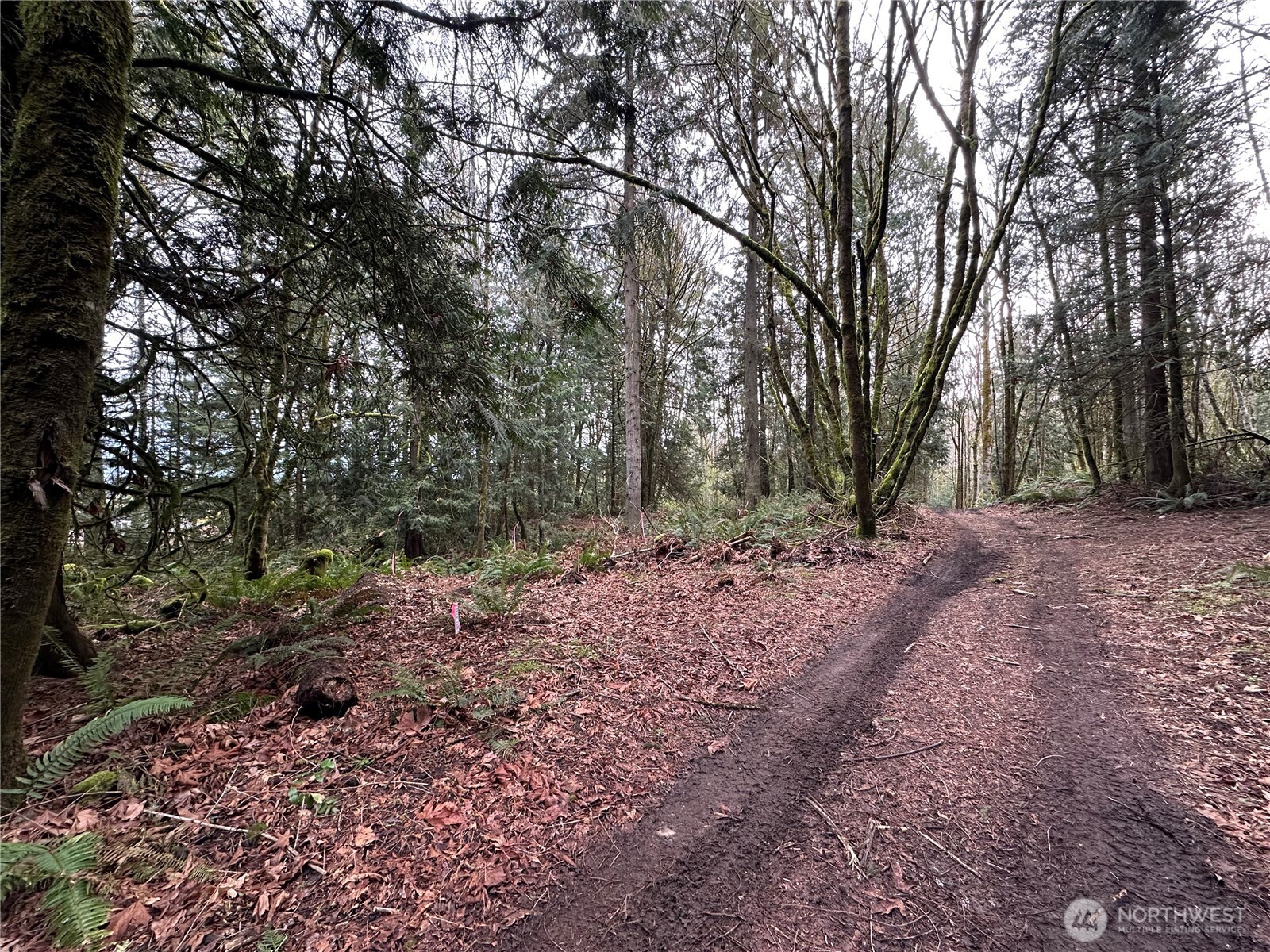 22 Lots Nevada Avenue