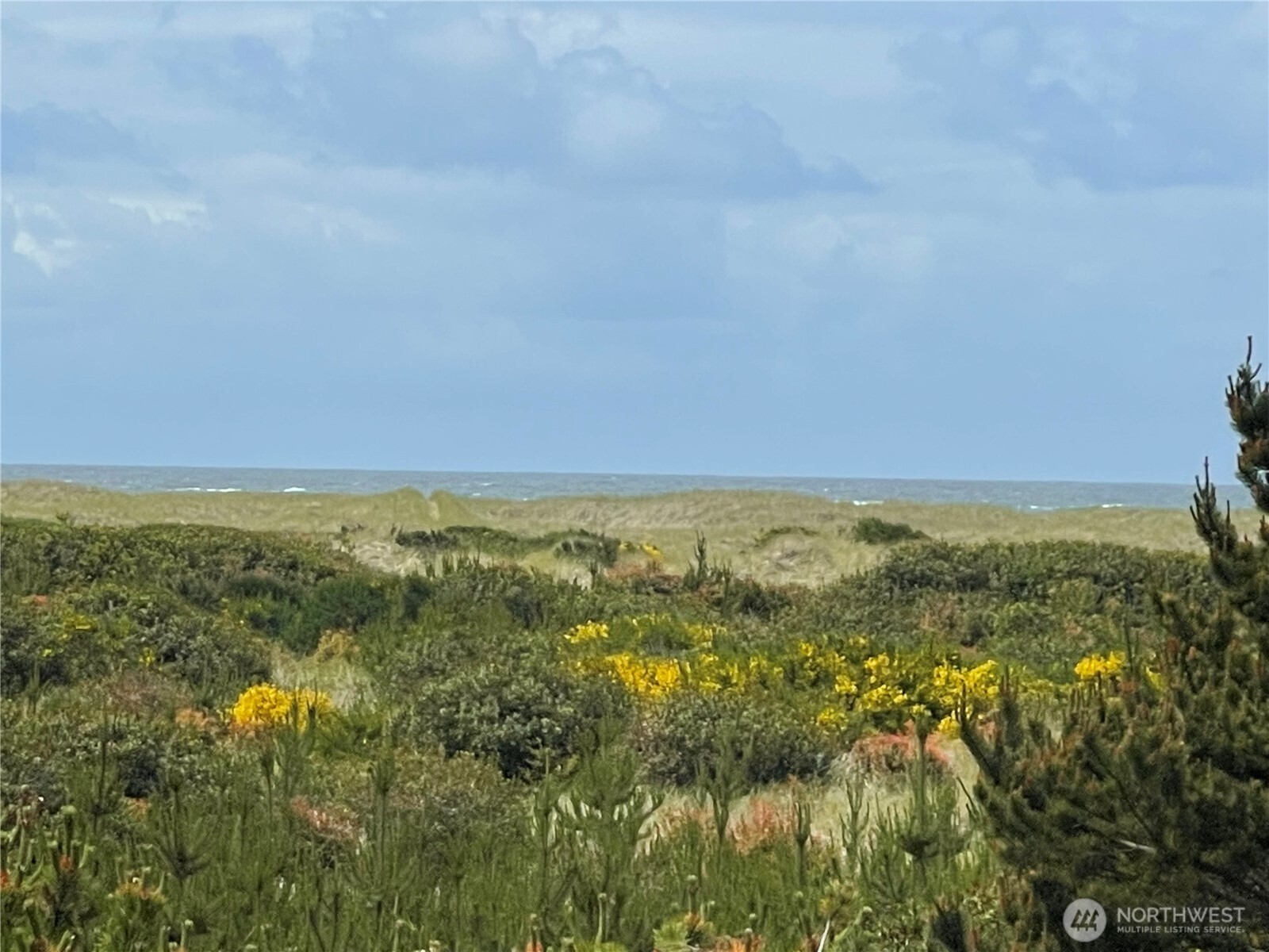 855 Sand Dune Avenue