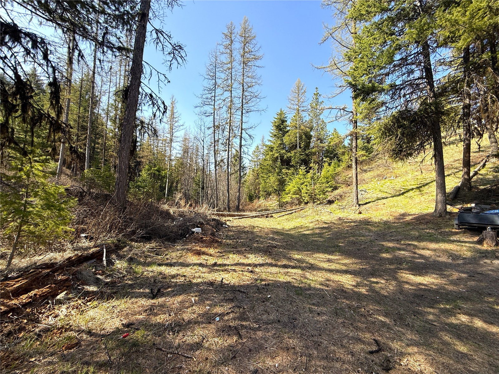 0 TBD Give Out Creek Road
