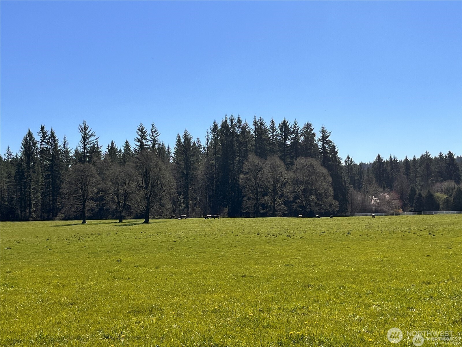 0 xxx 212th Avenue