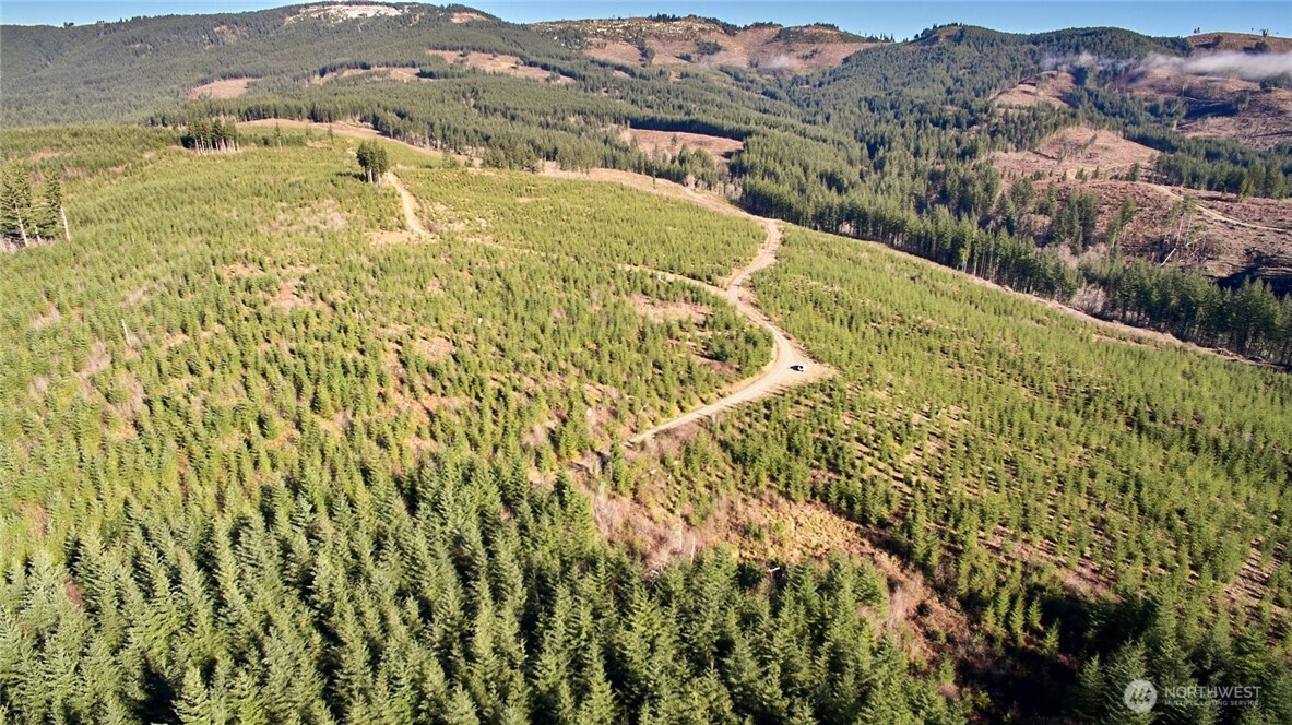 4 Jones Creek Road