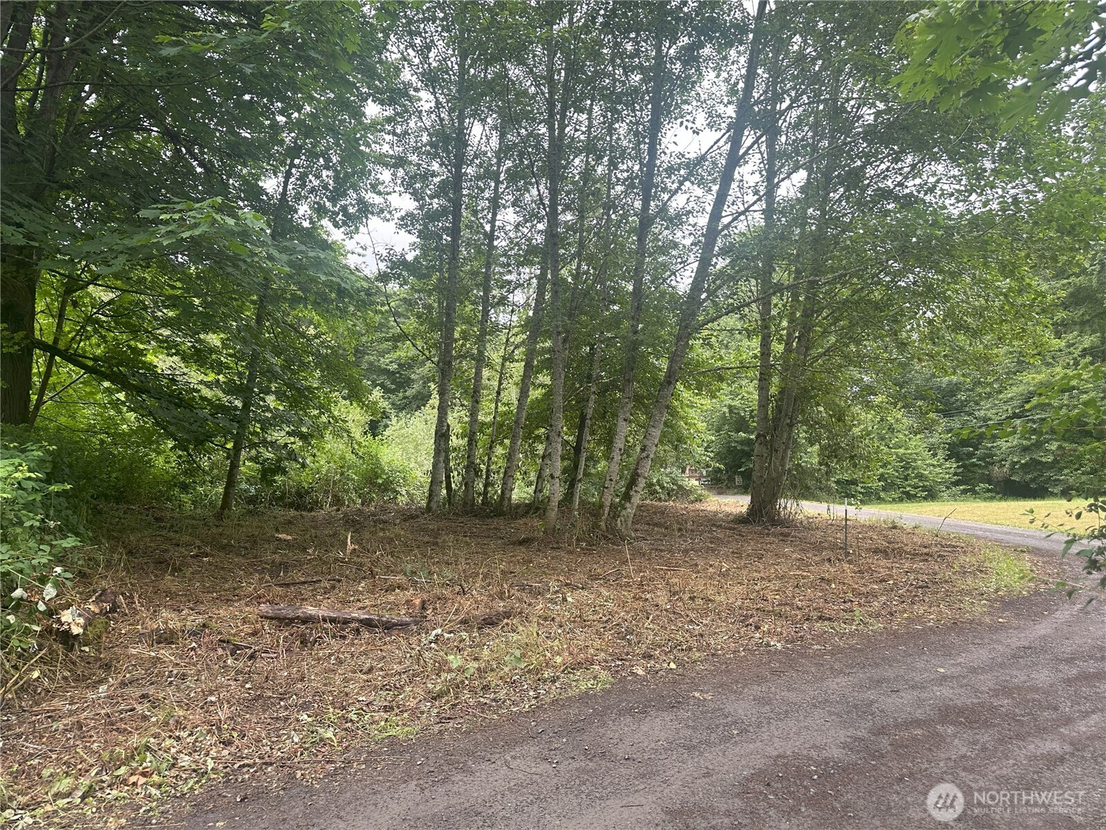0 XXXX Skidder Hill Road