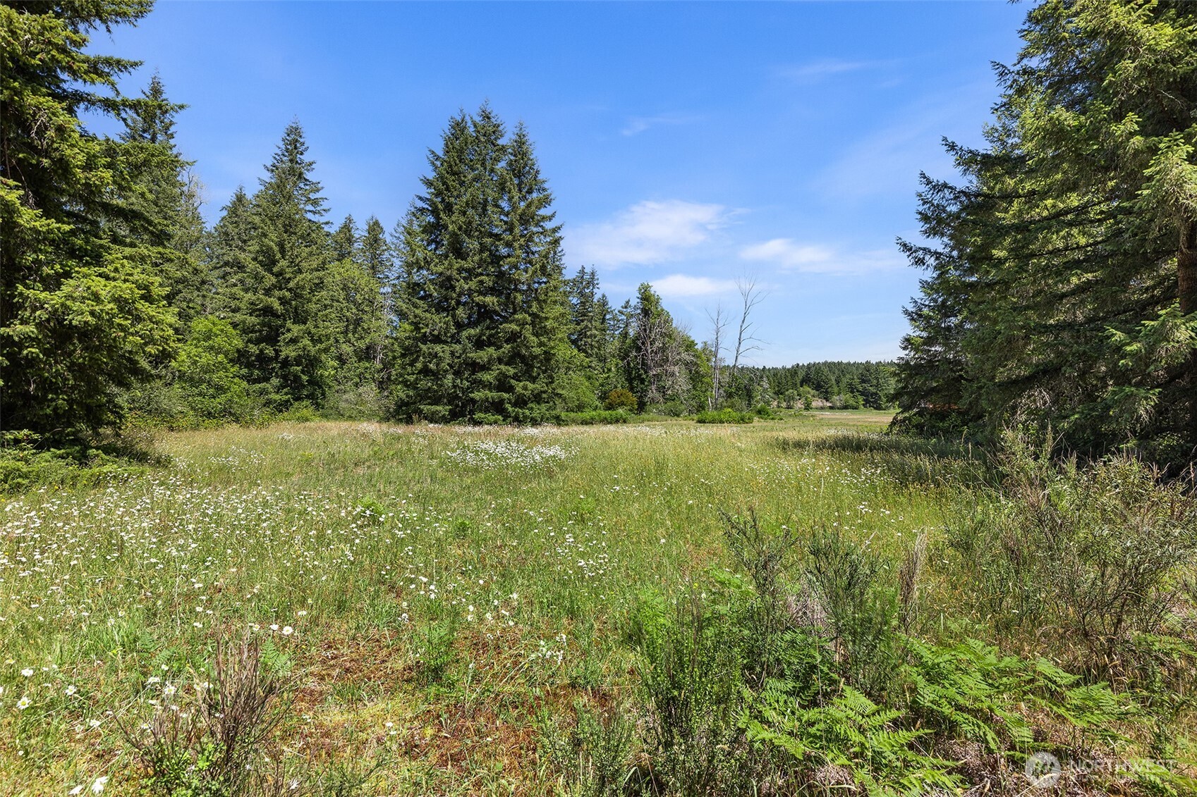 22030 Peissner Road
