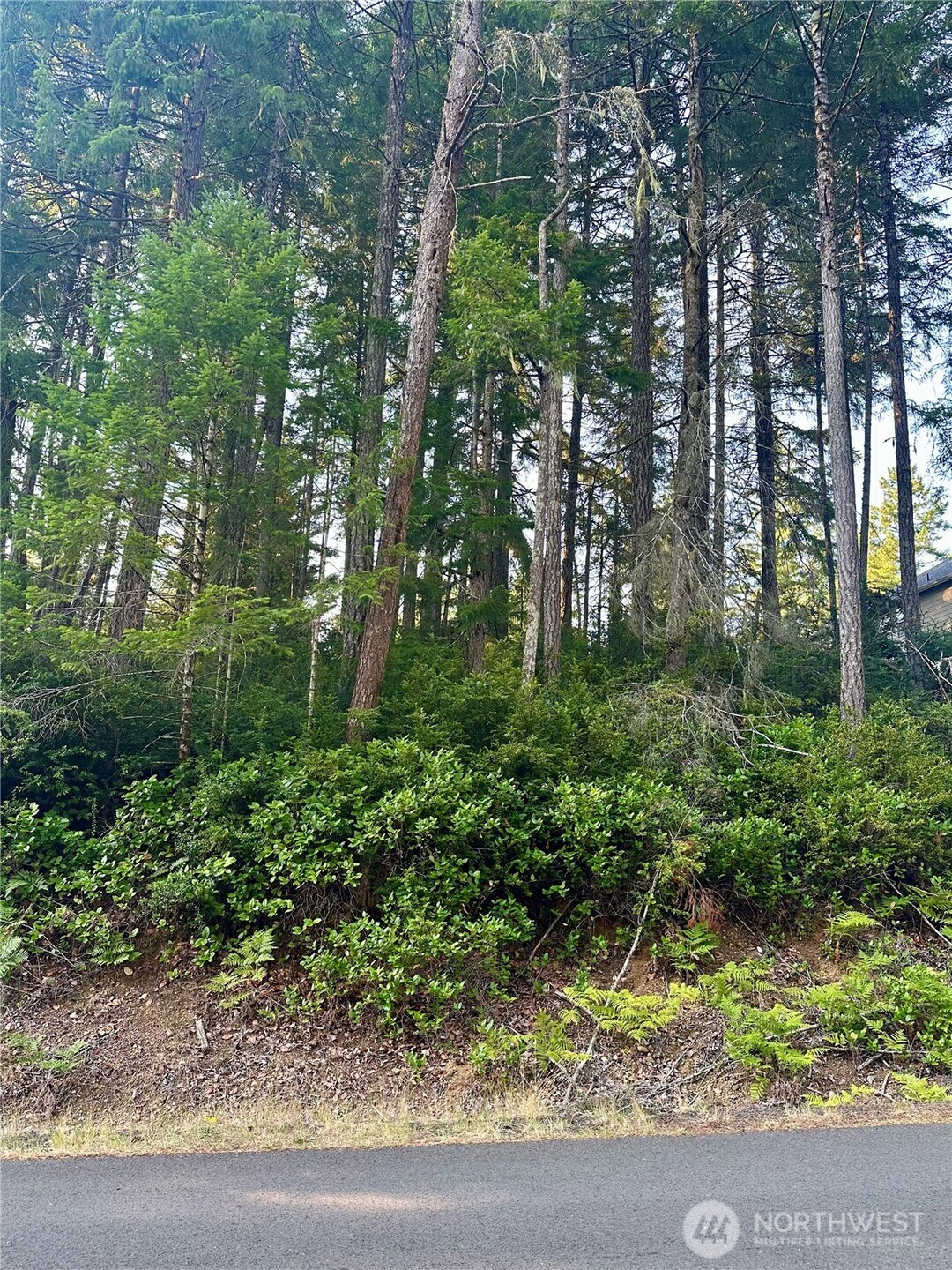 700 Vine Maple Lane