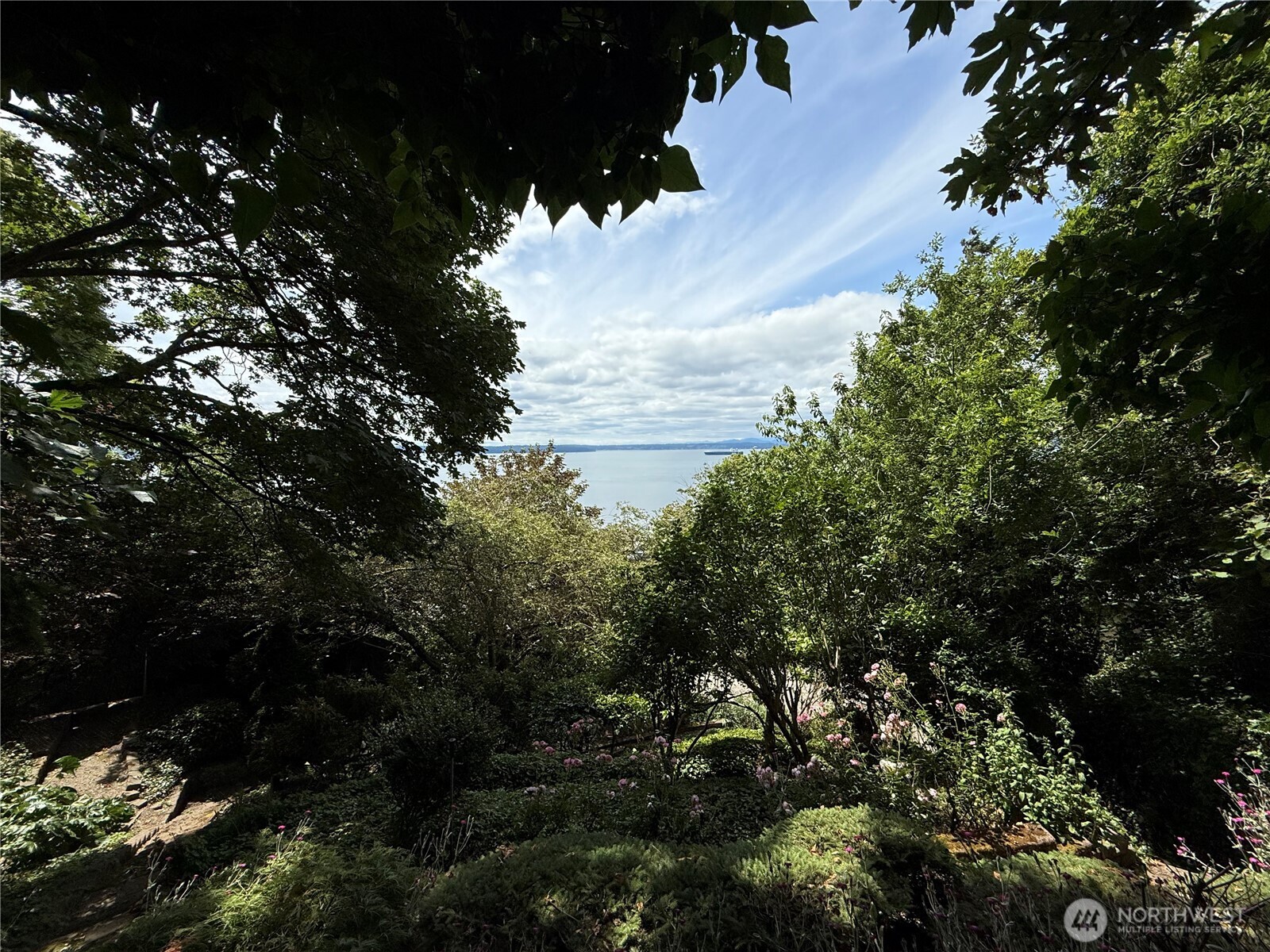 37 XX 59th Avenue