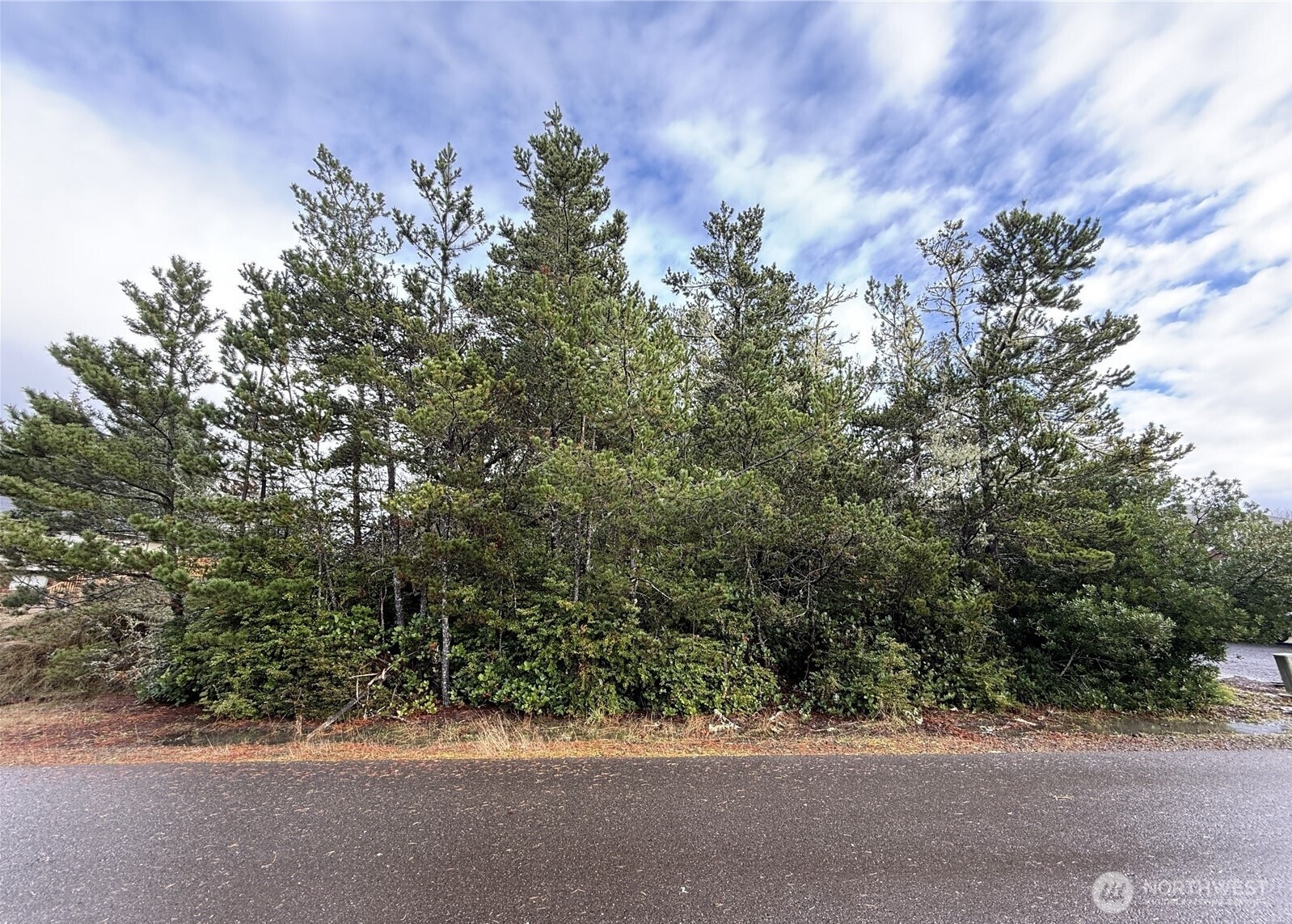 254 Olympic View Ave