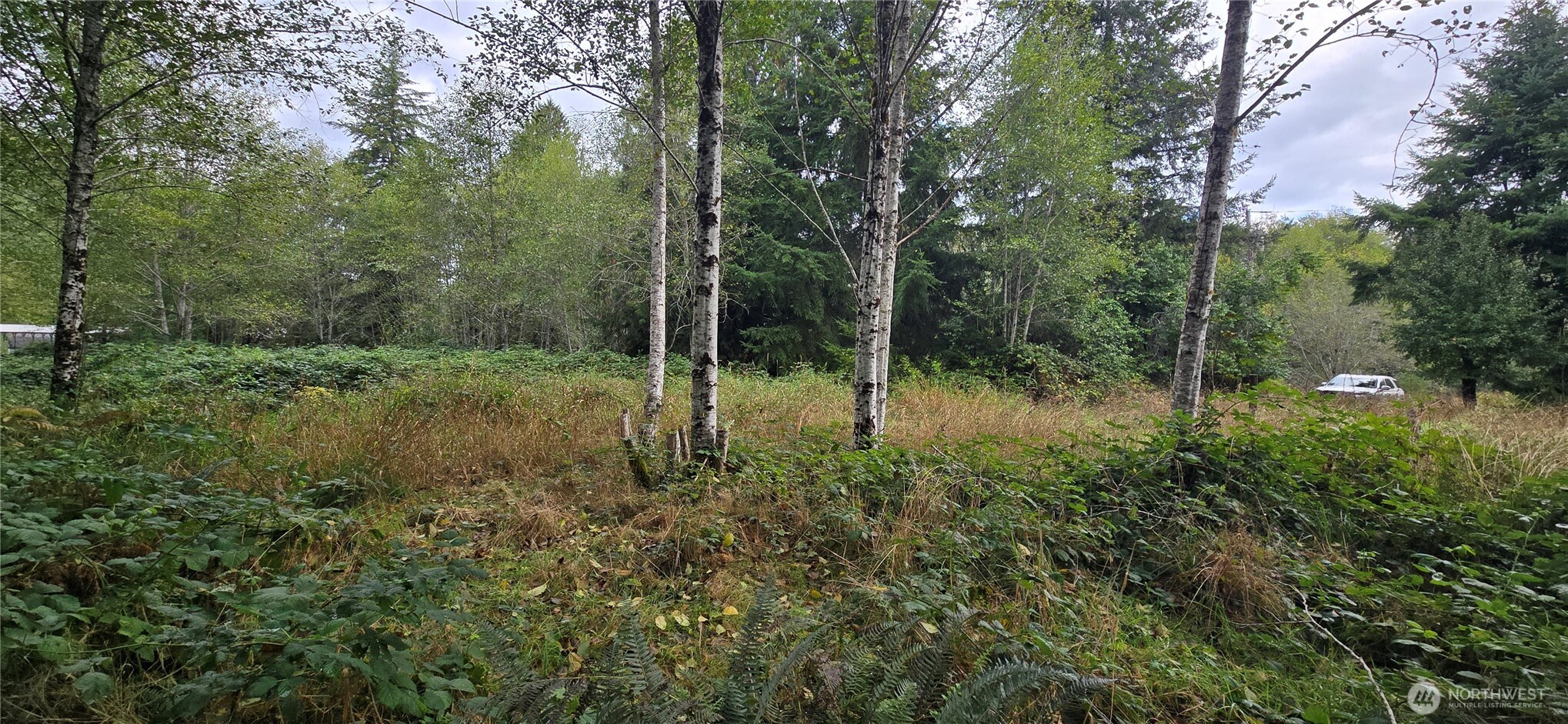 1351 Satsop Road