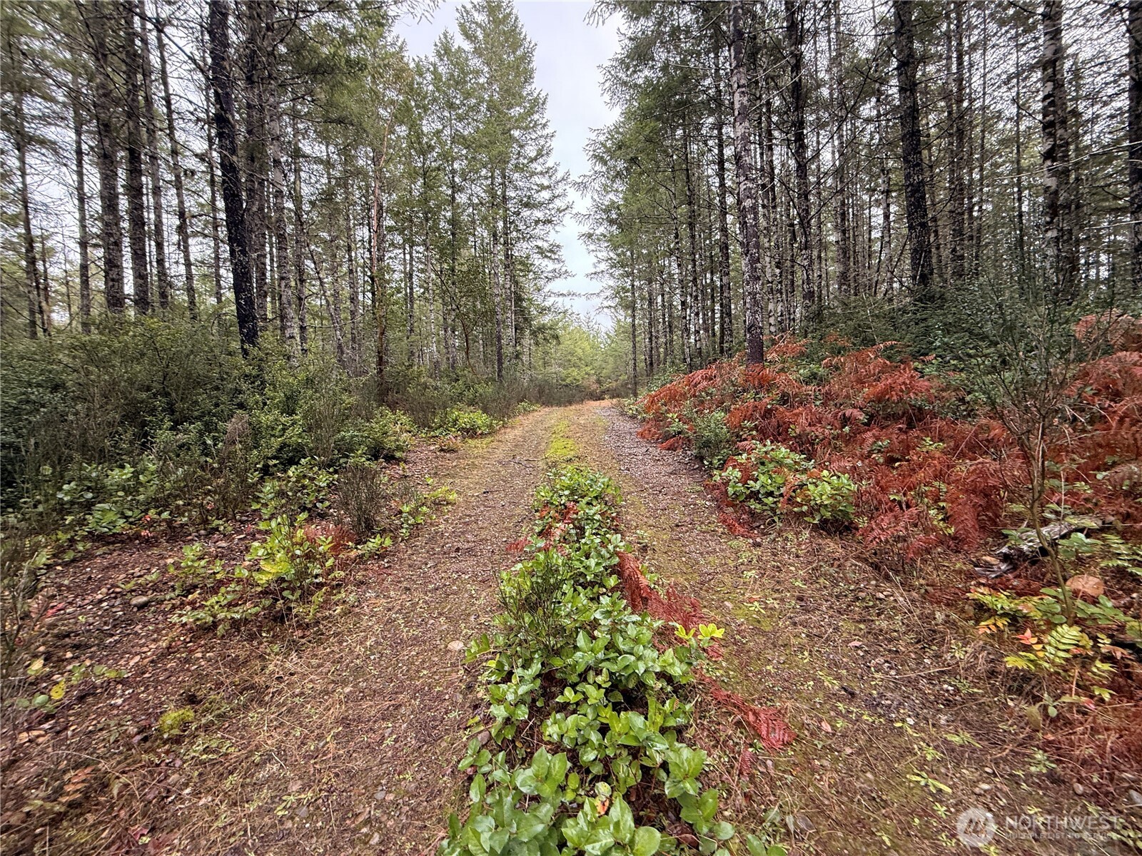 10 XX Shetland Road