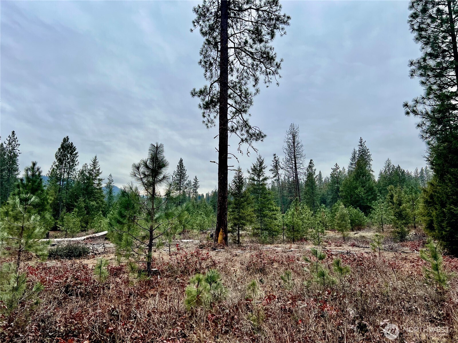 0 40TBD Hwy 25