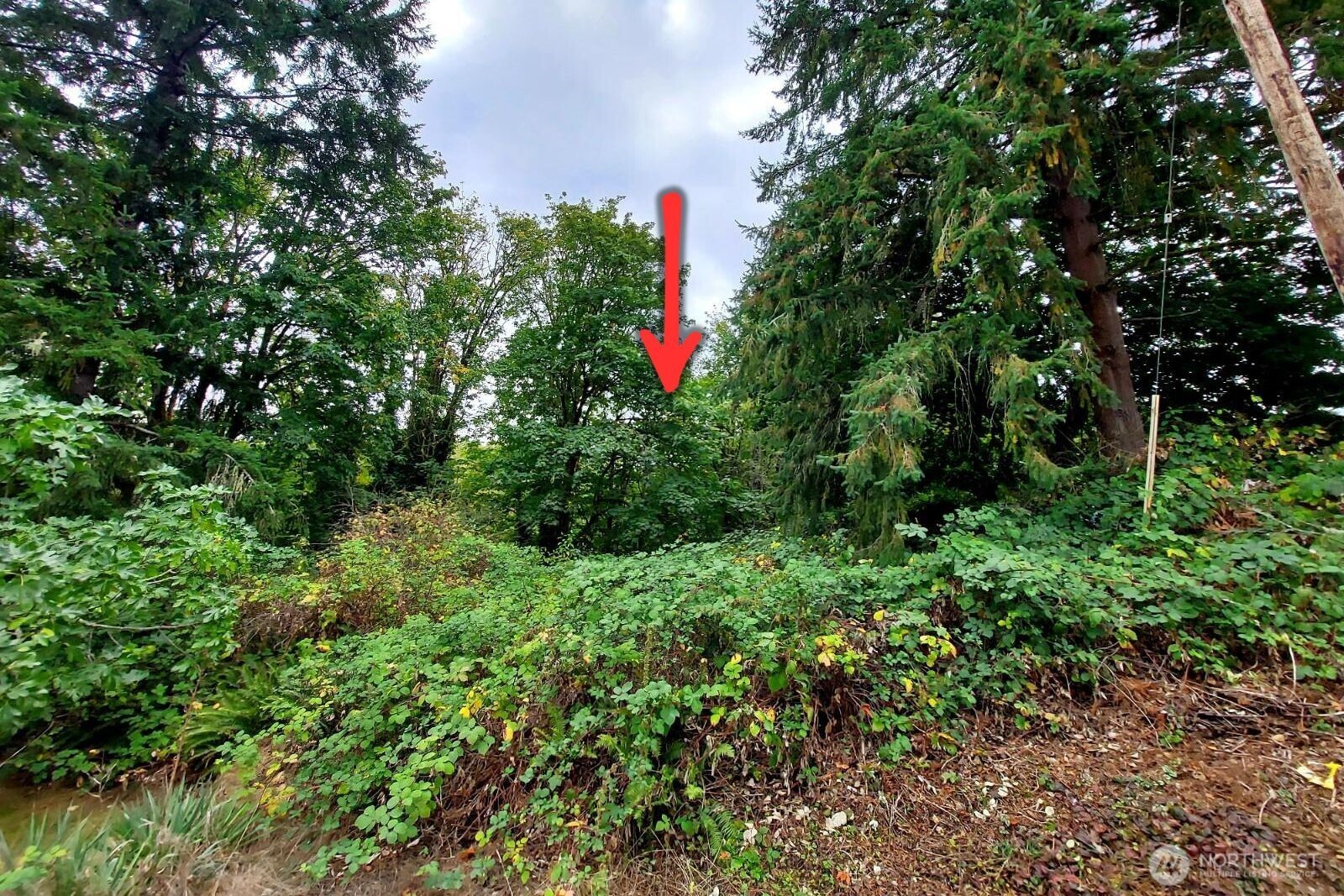 0 Lot C Melcher St