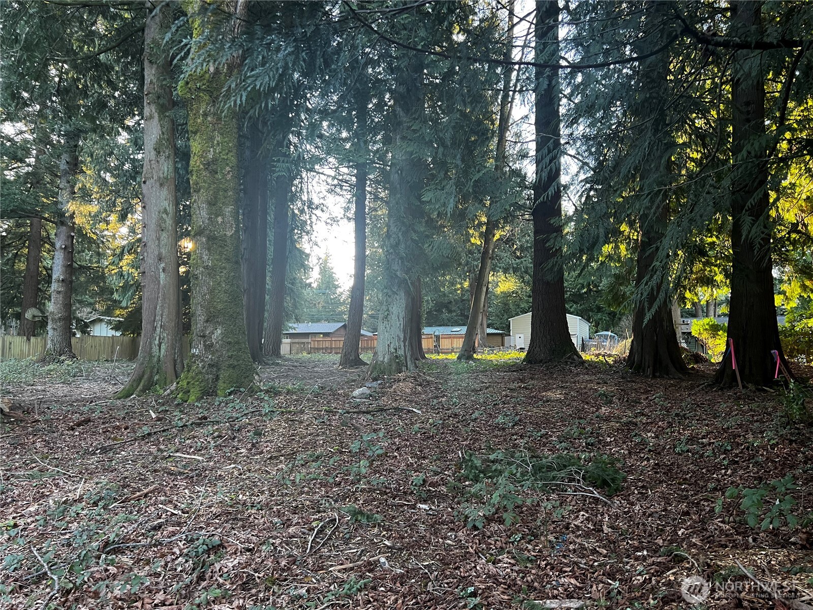 0 XXX Forest View Drive
