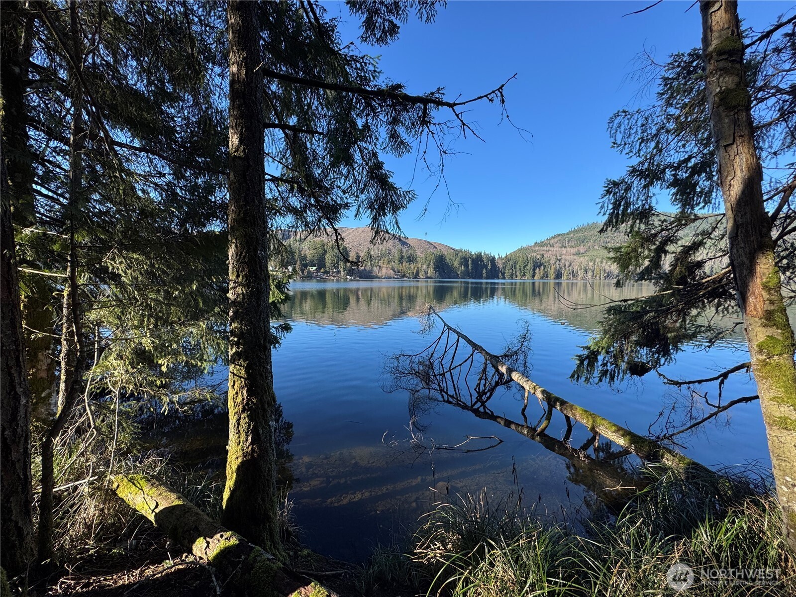0 Mineral Creek Road