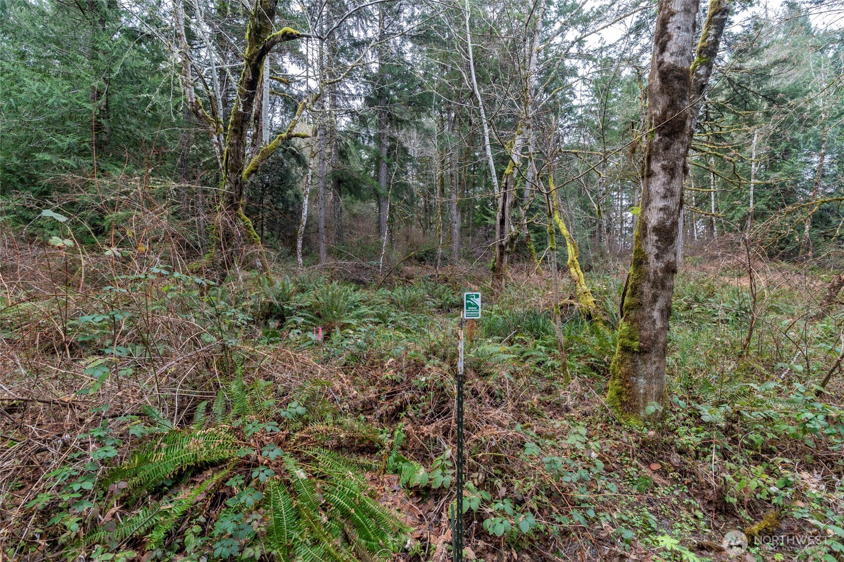 8900 Adams Lane