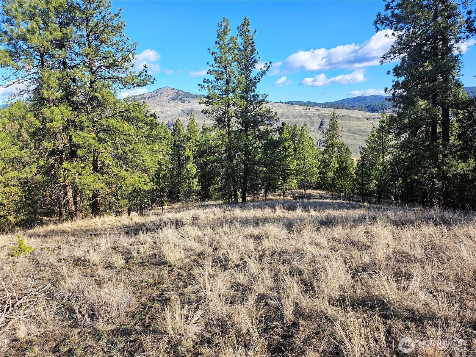 380 Lot Chopaka TBD Road