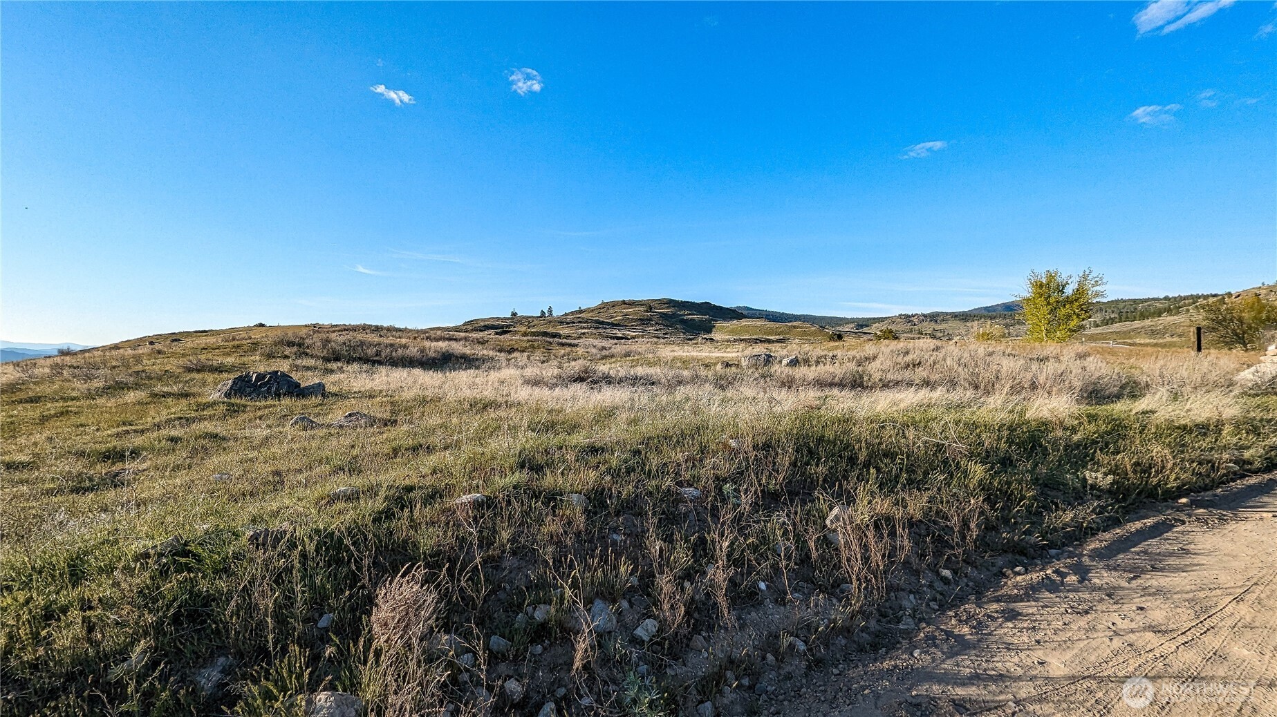 174 Round Up Road