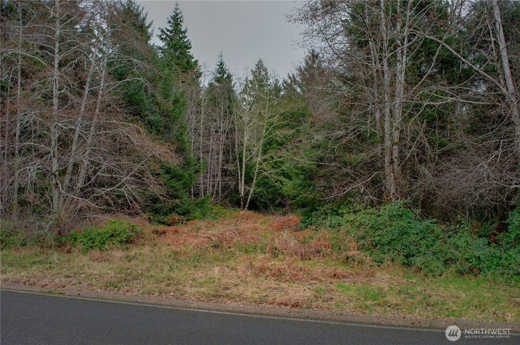 56 Ranta Road