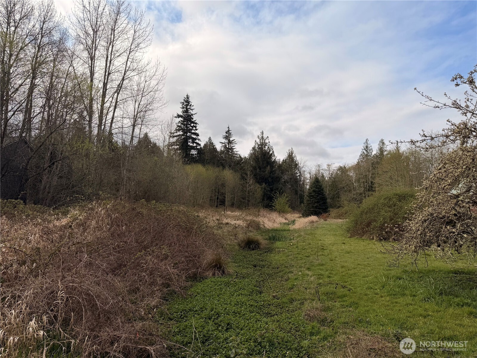 1932 Salmonberry Road