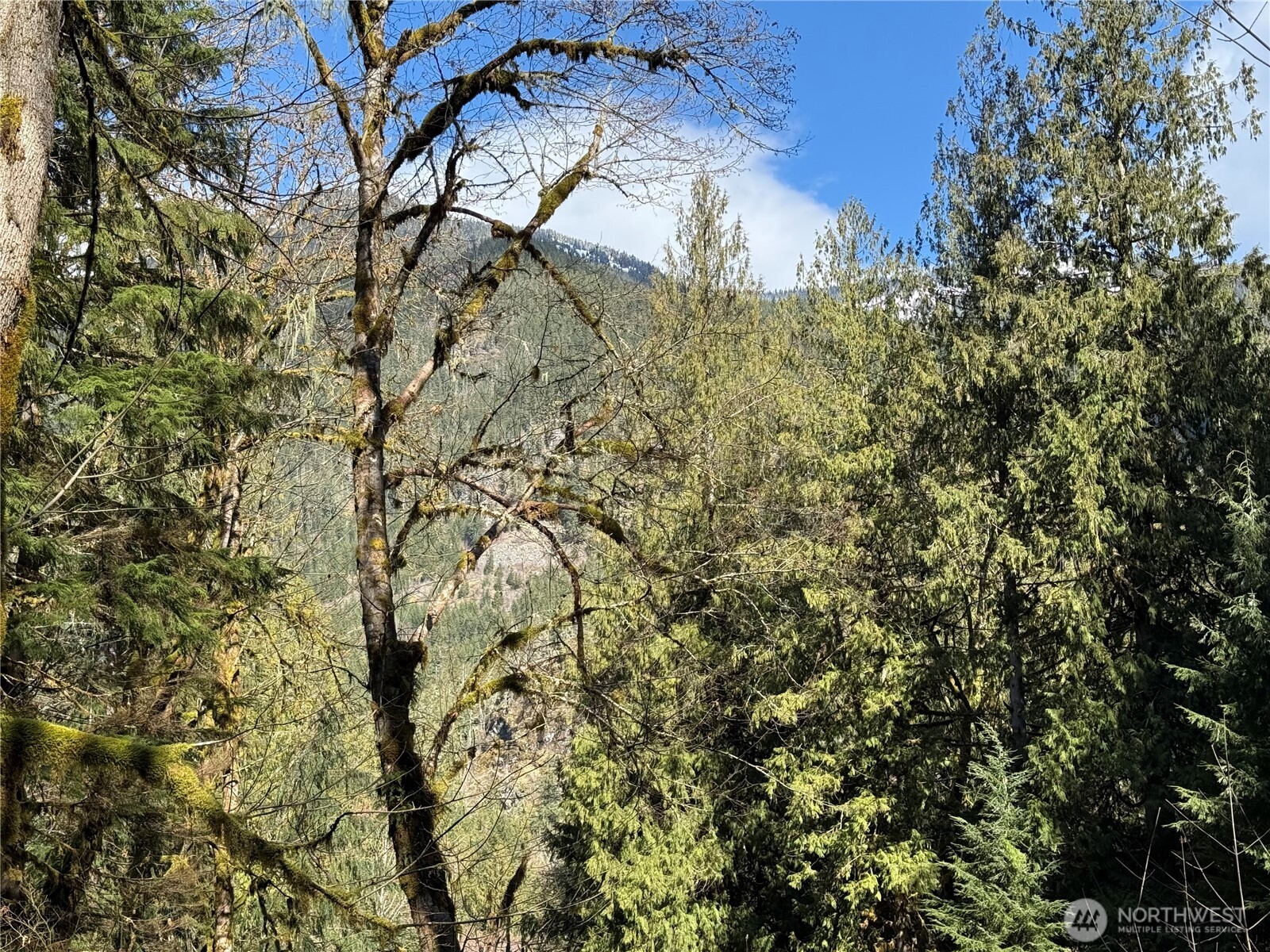0 High Ridge Drive