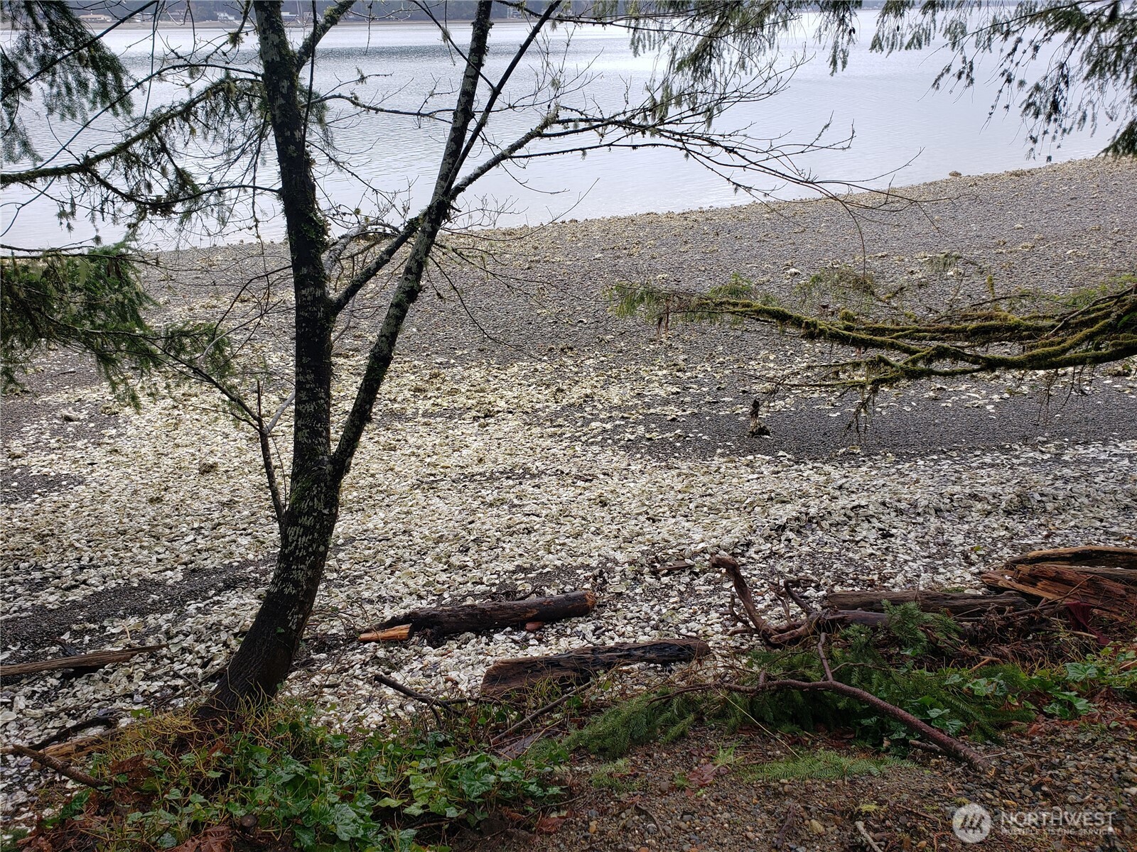 551 Timber Tides Drive