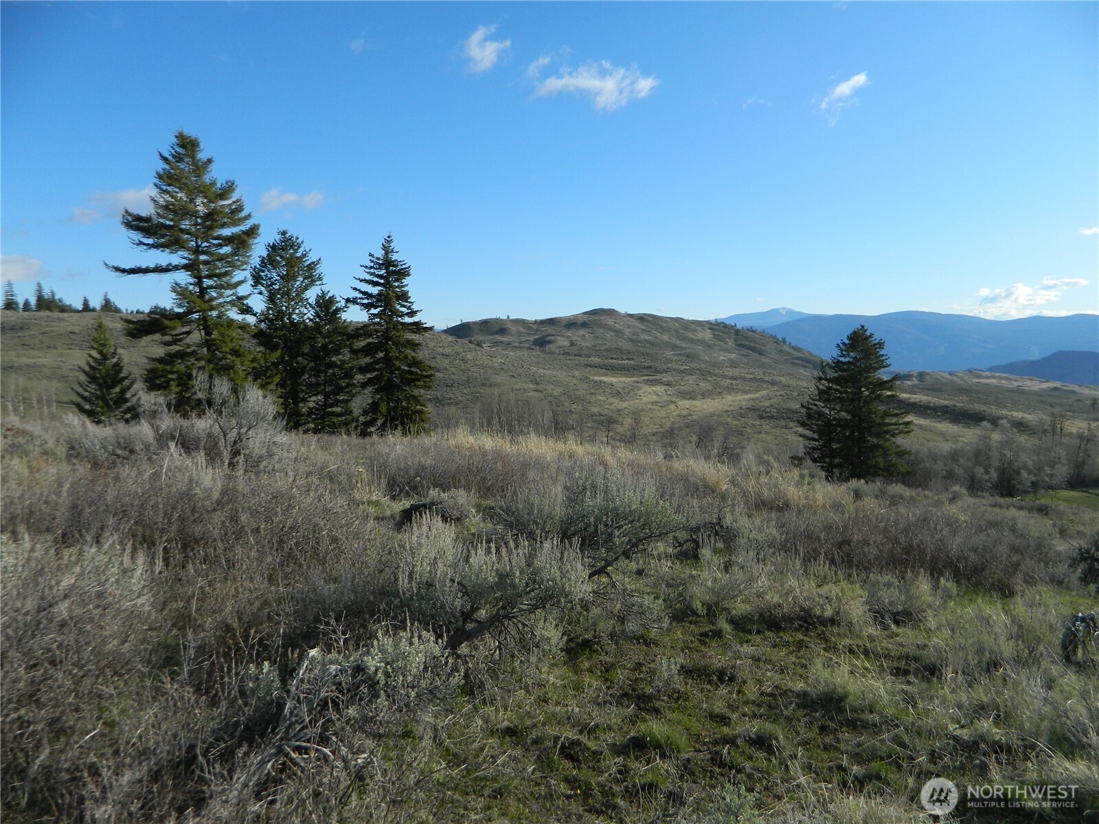 0 TBD Ellemeham Ridge Road