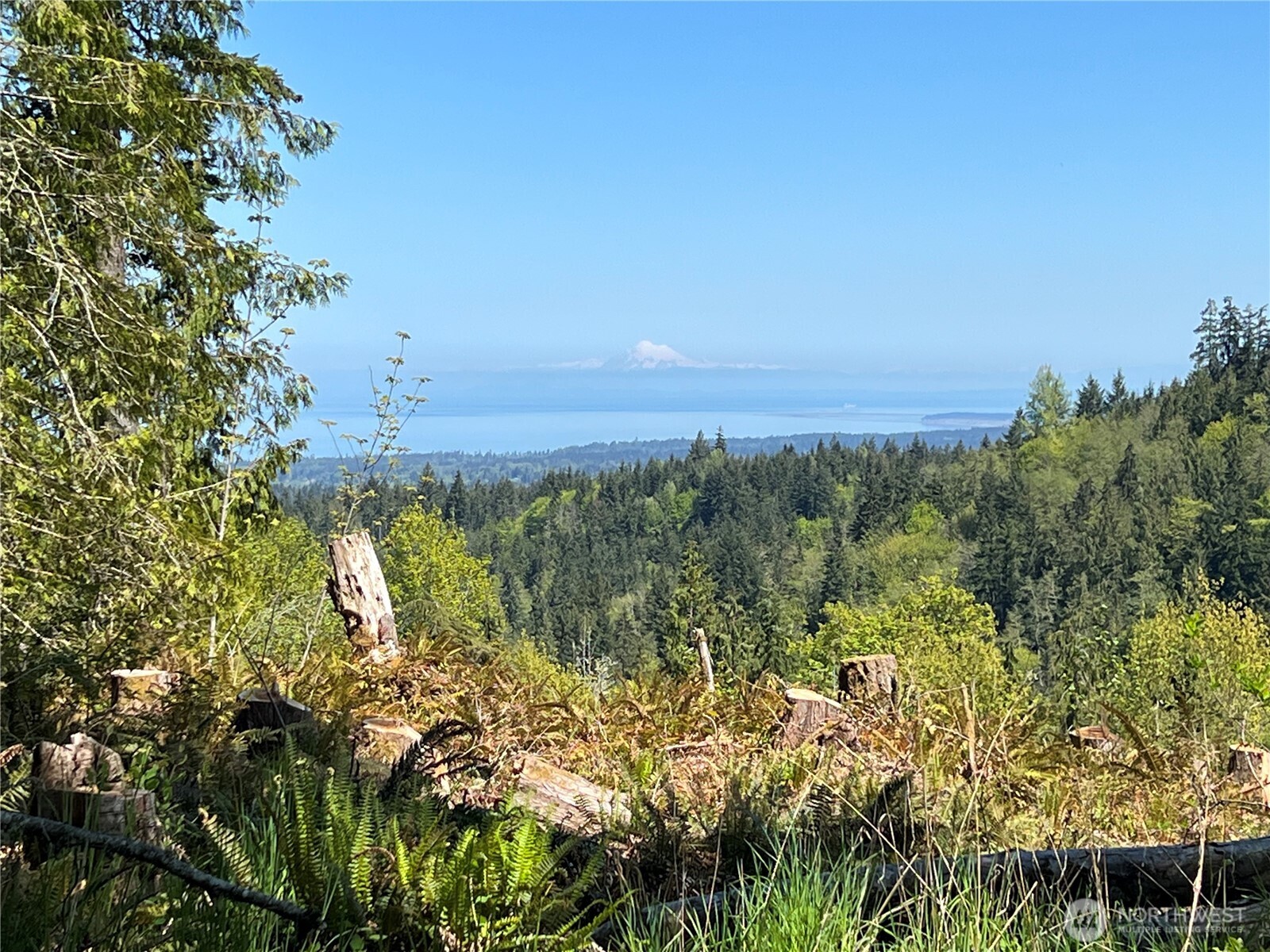 9999 Half Mile Rd., Lot B