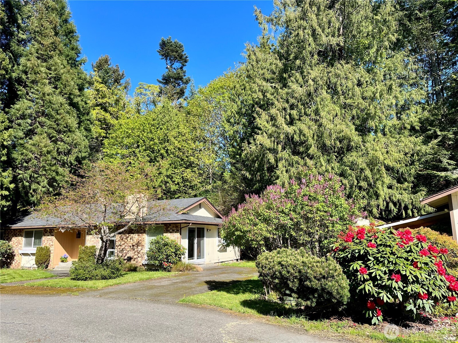 296 Dungeness Meadows