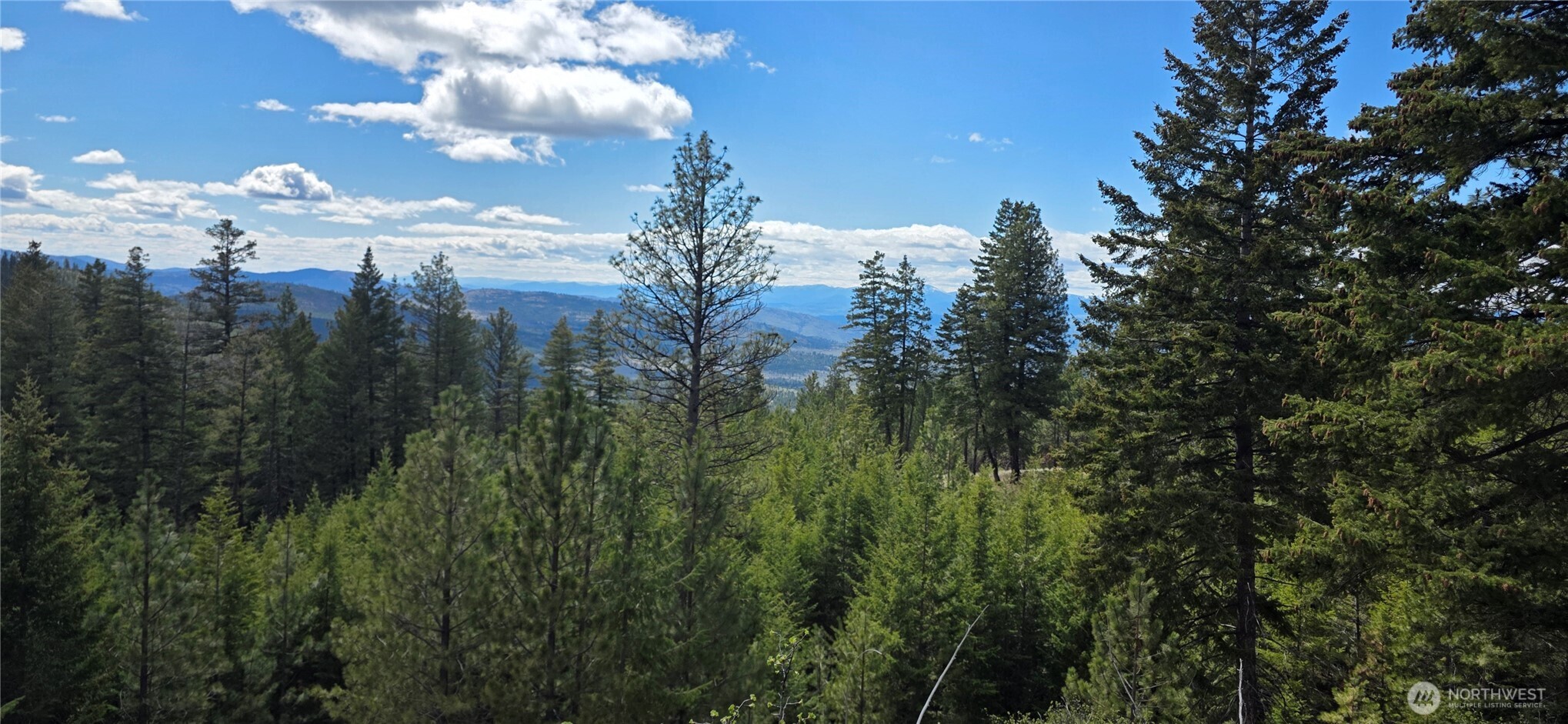 1112 TBD Bandtman Creek Rd