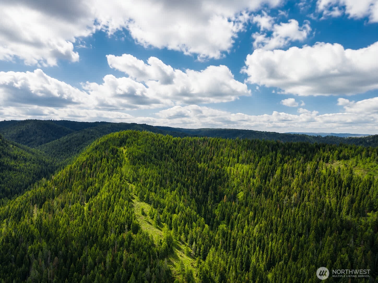 30 Acres off Biscuit Ridge
