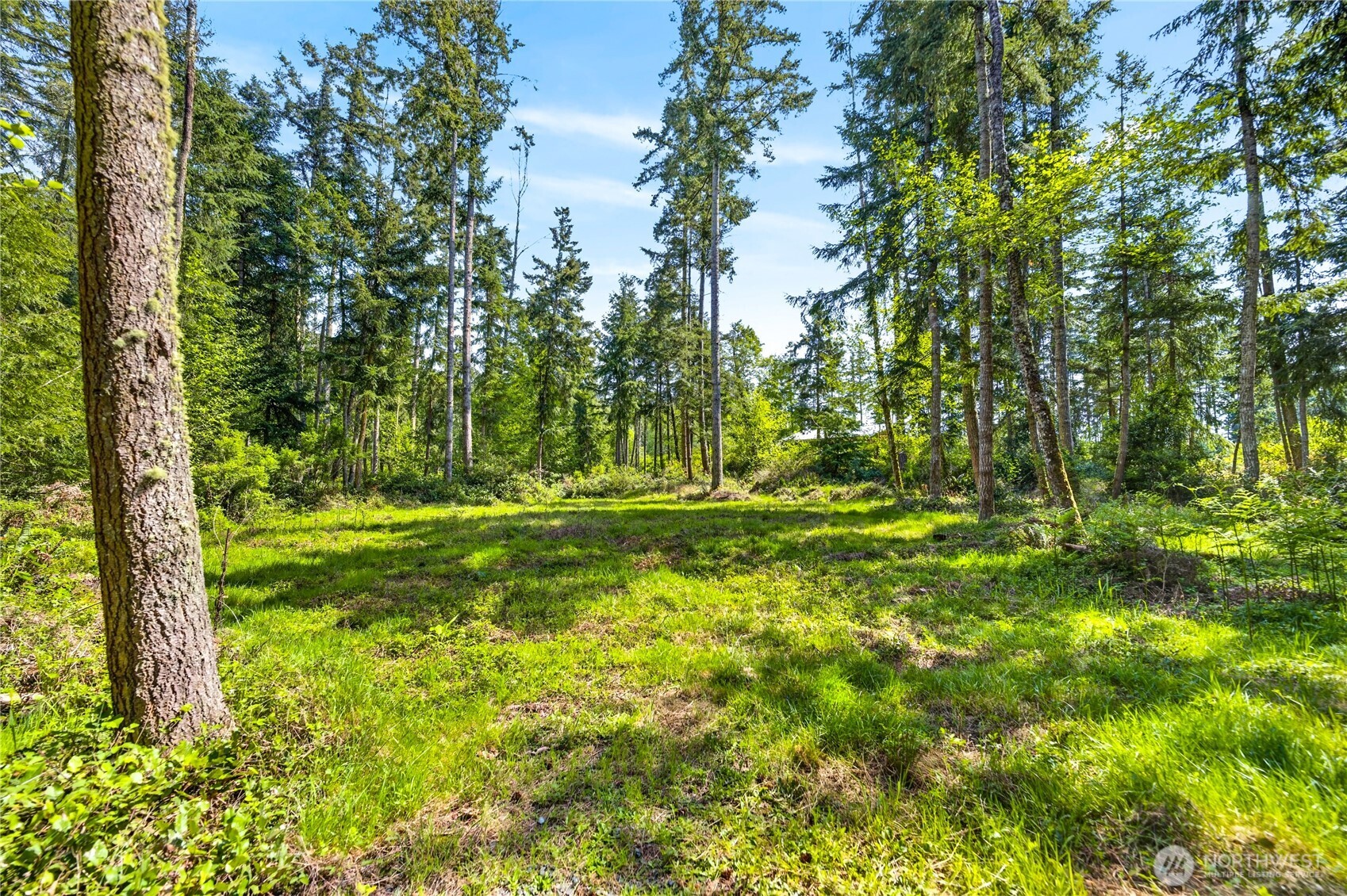 0 Evergreen Lane