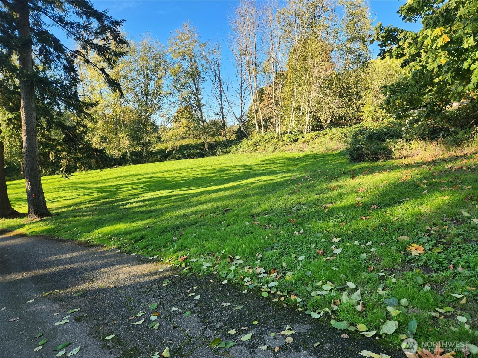 9859 Redmond-Woodinville Road