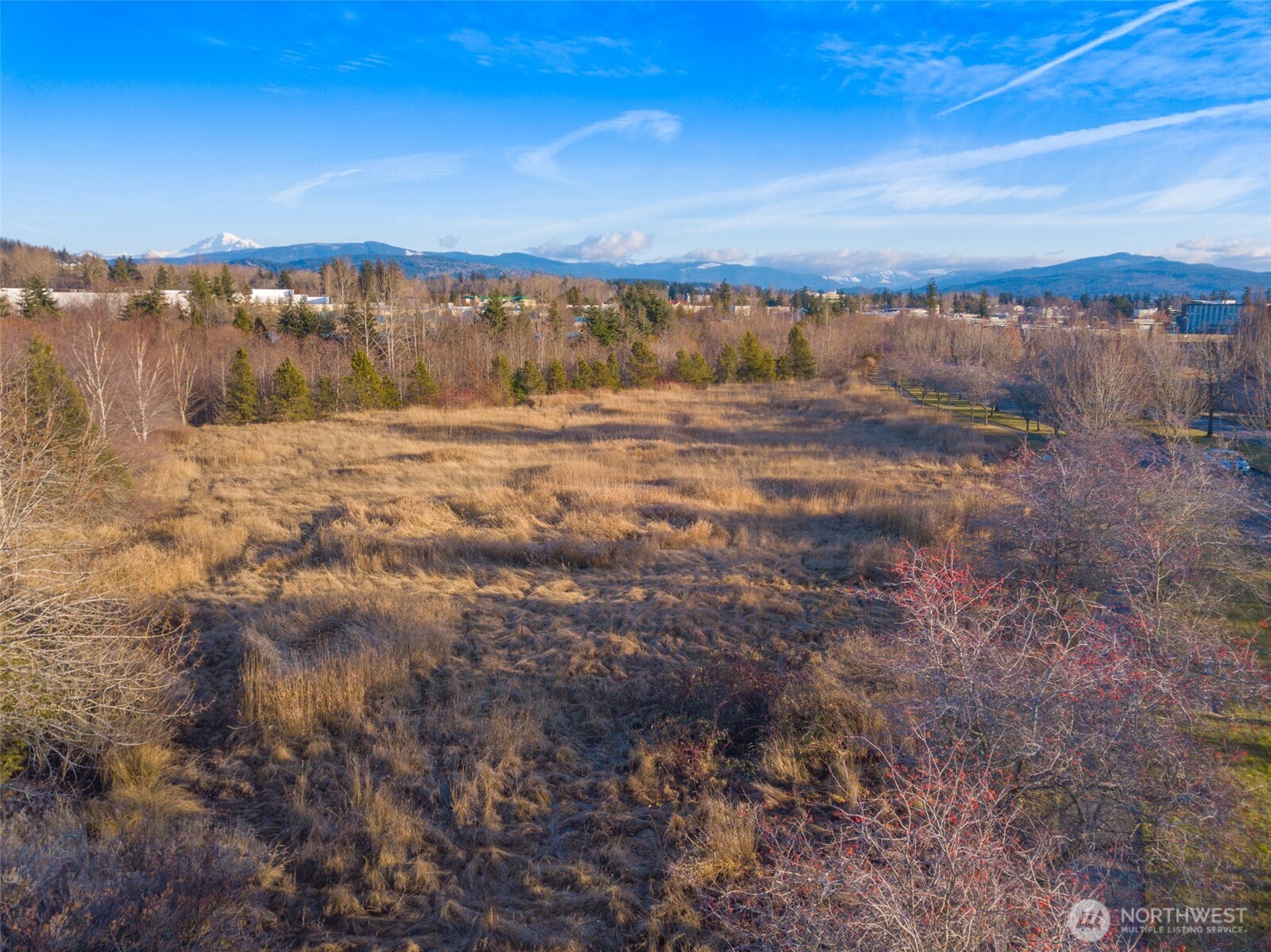 42 xx Cordata Parkway