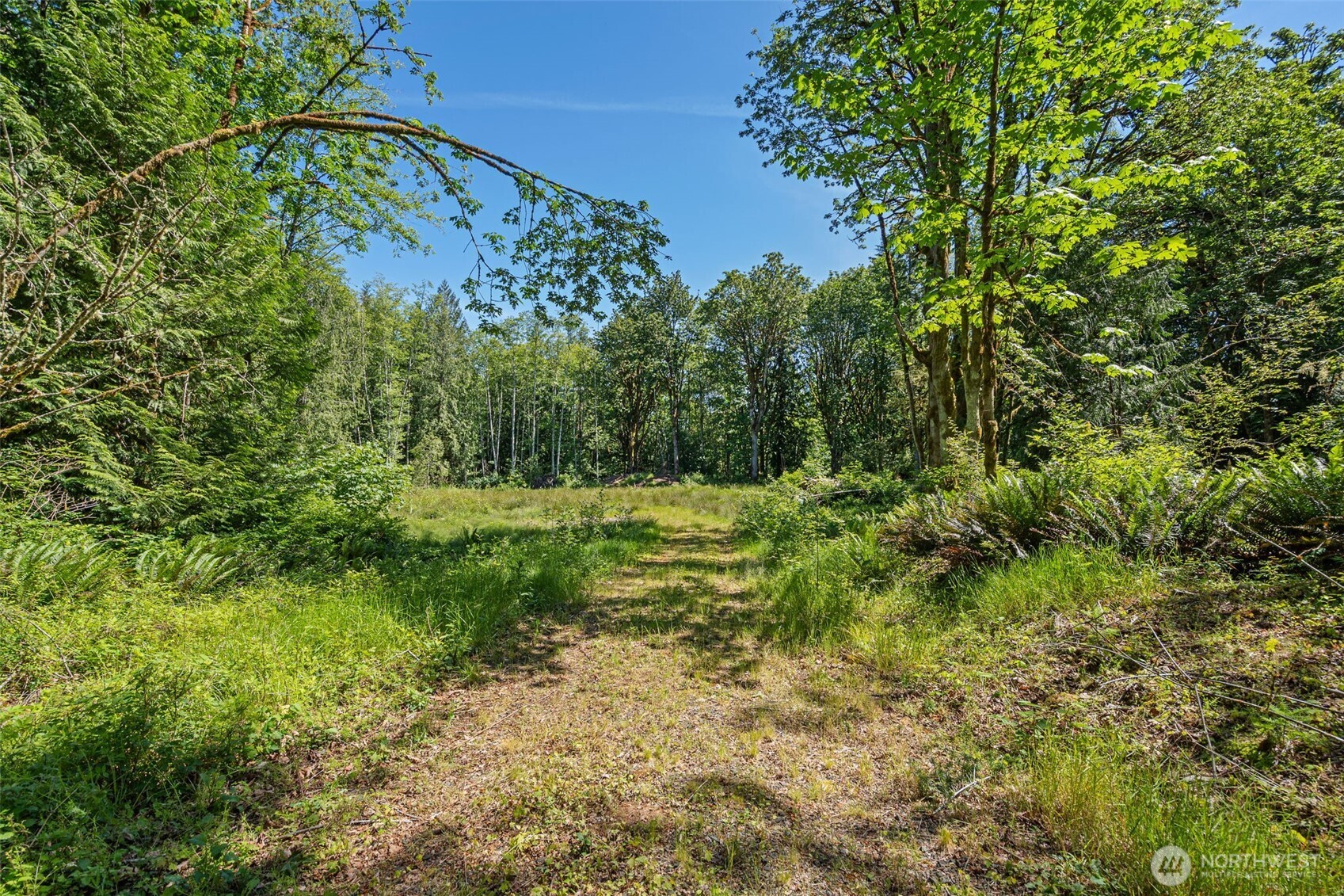4635 Forest View Lane