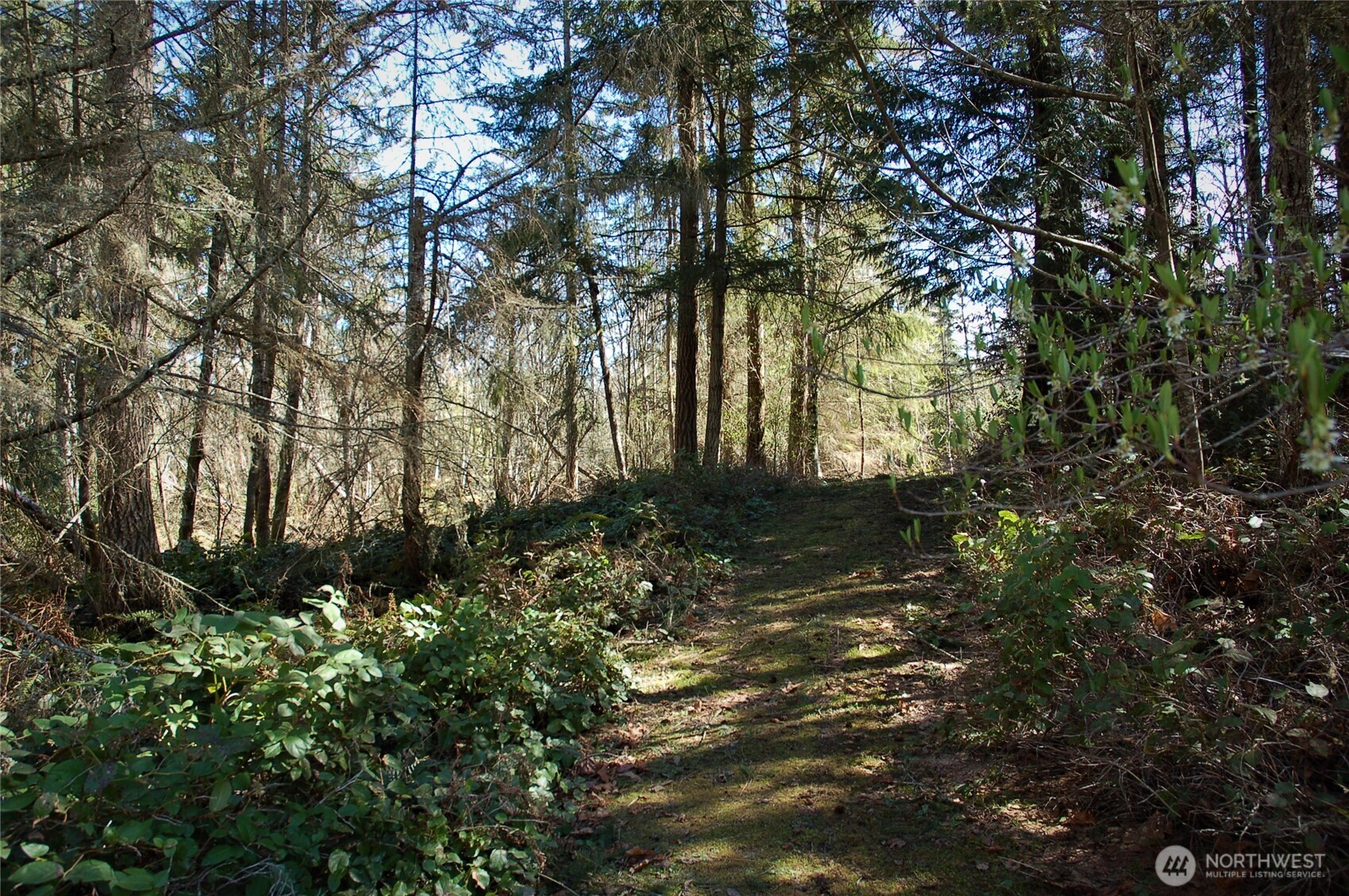 999 Bagley Creek Road