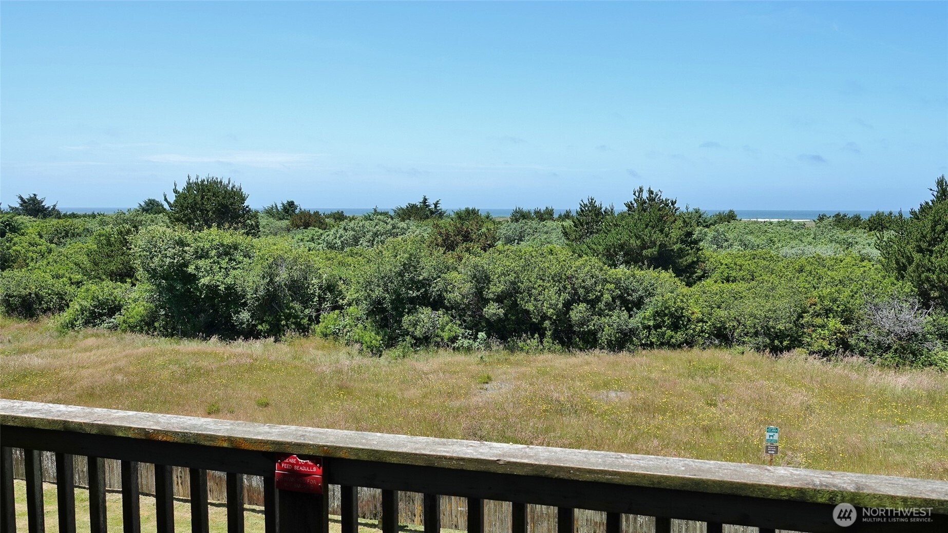 615 Ocean Shores Boulevard #318