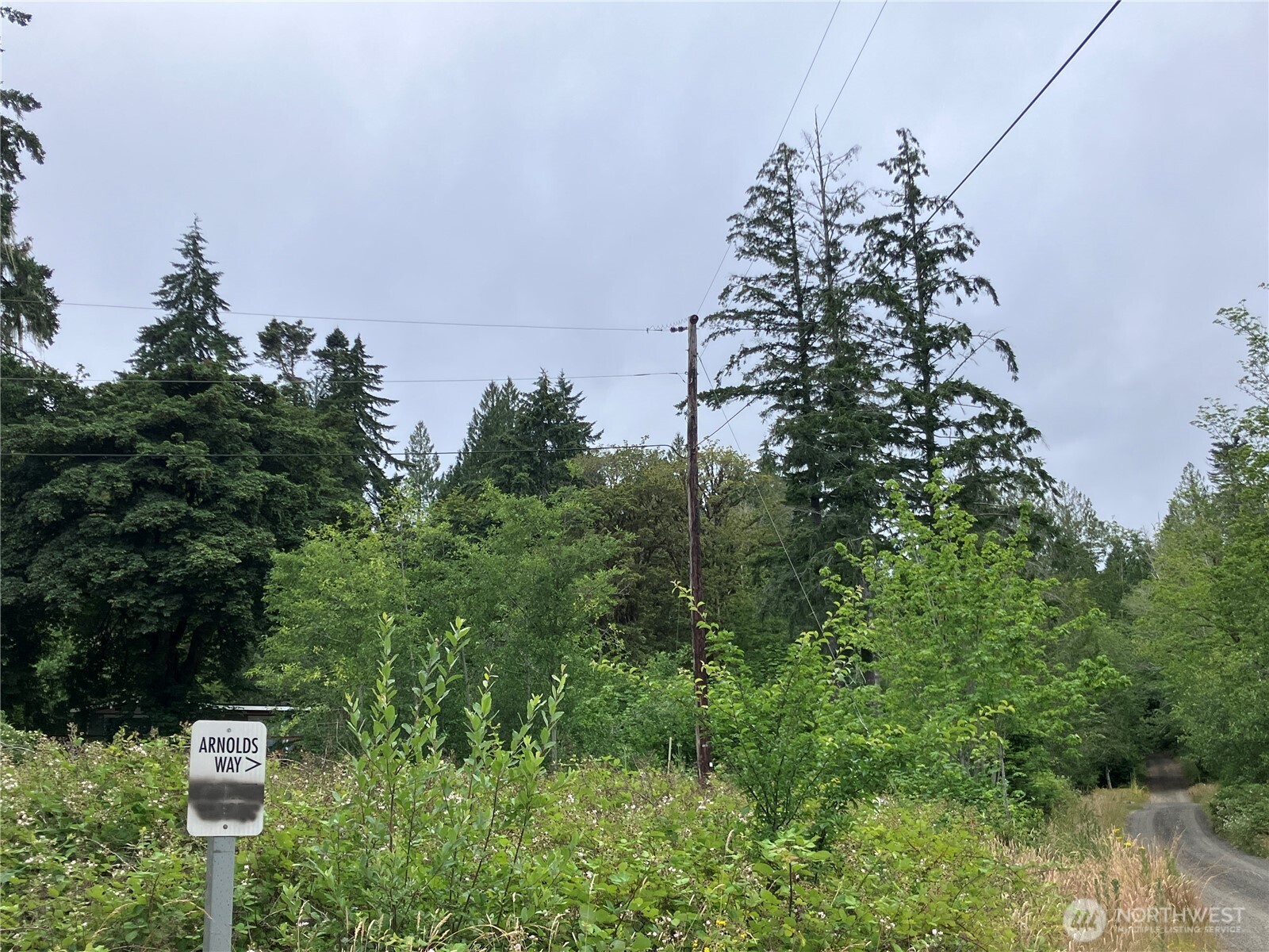 0 ViKen Lane
