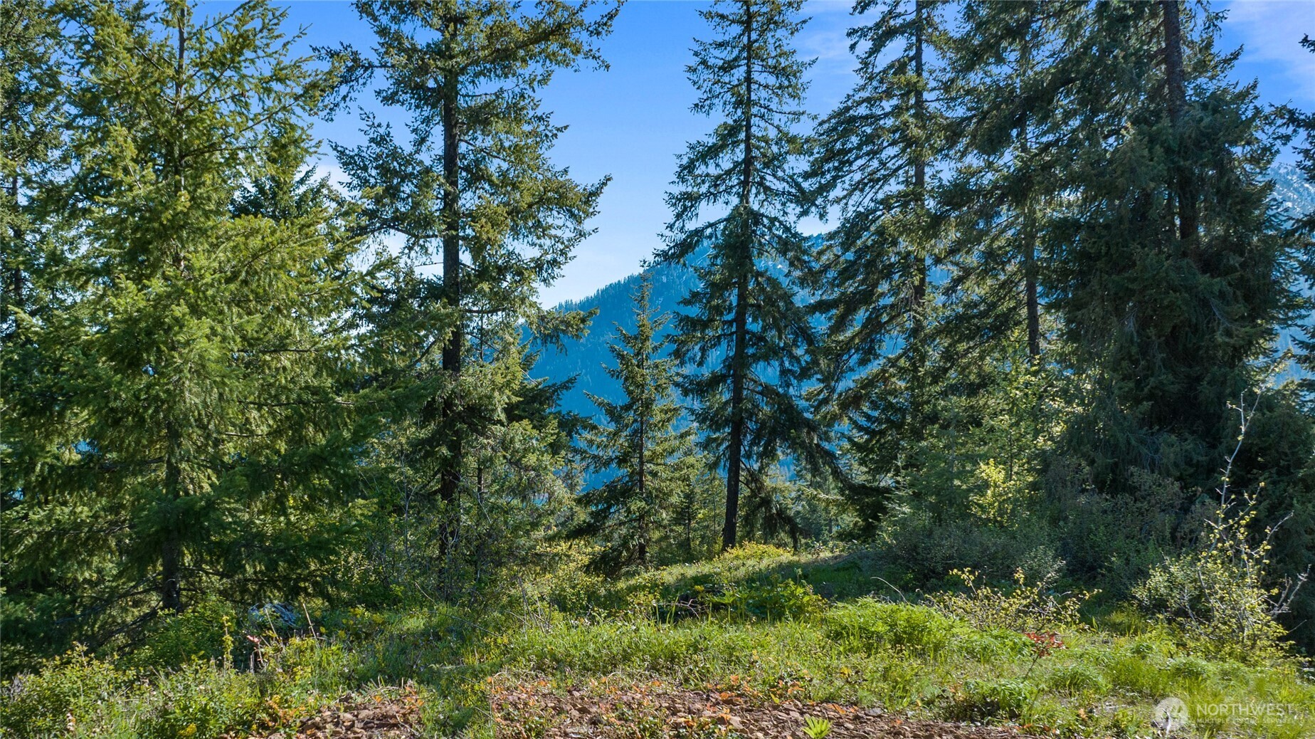 40 Newport Creek Loop