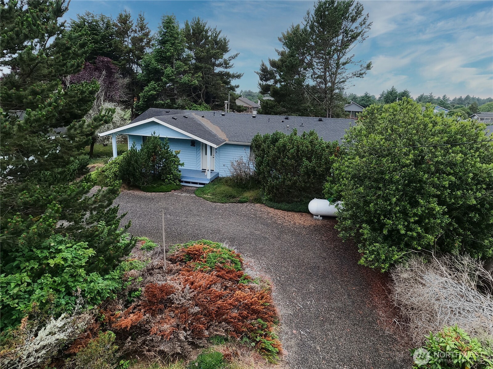 243 Octopus Avenue