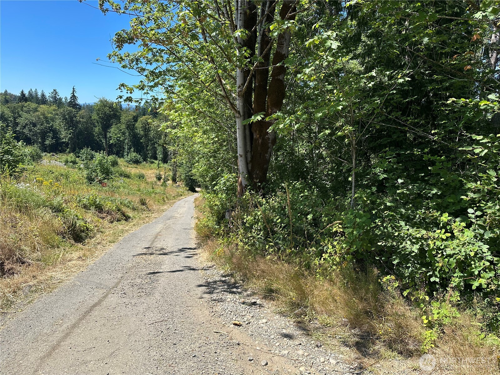 0 XXX Hippie Hill Road