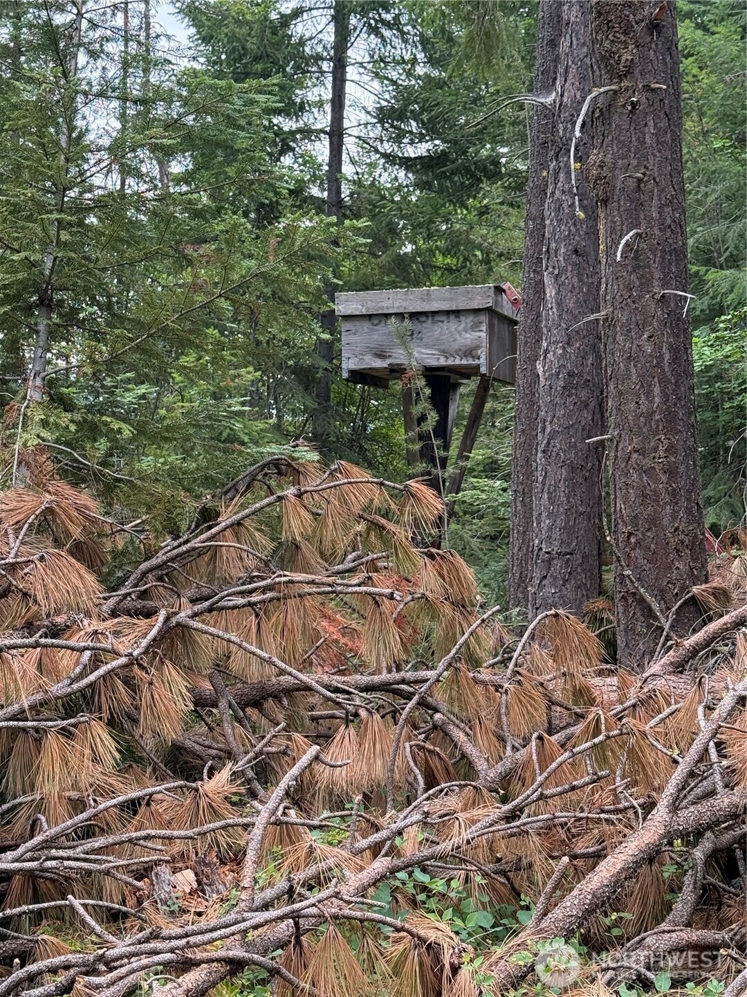 750 Tall Pines Drive #2 of 2
