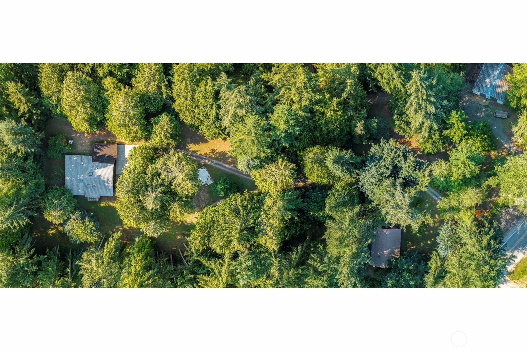 28389 State Highway 3