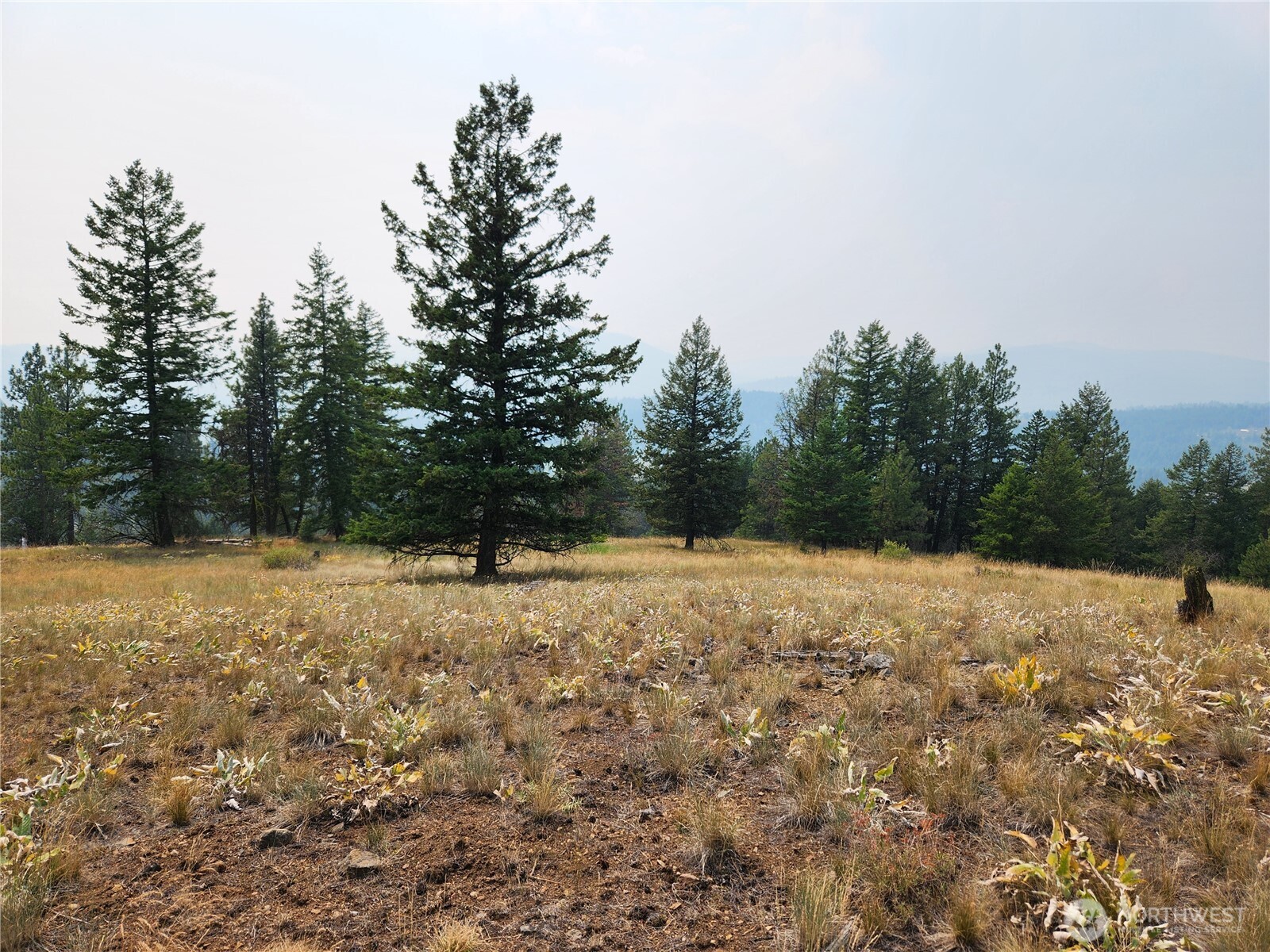 0 TBD Rose Valley Road