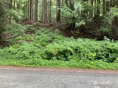 87426 Old Cascade Highway