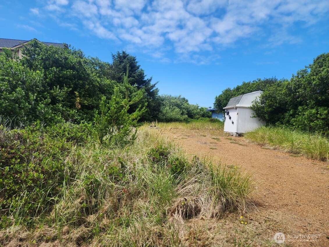 339 Sand Dune Avenue