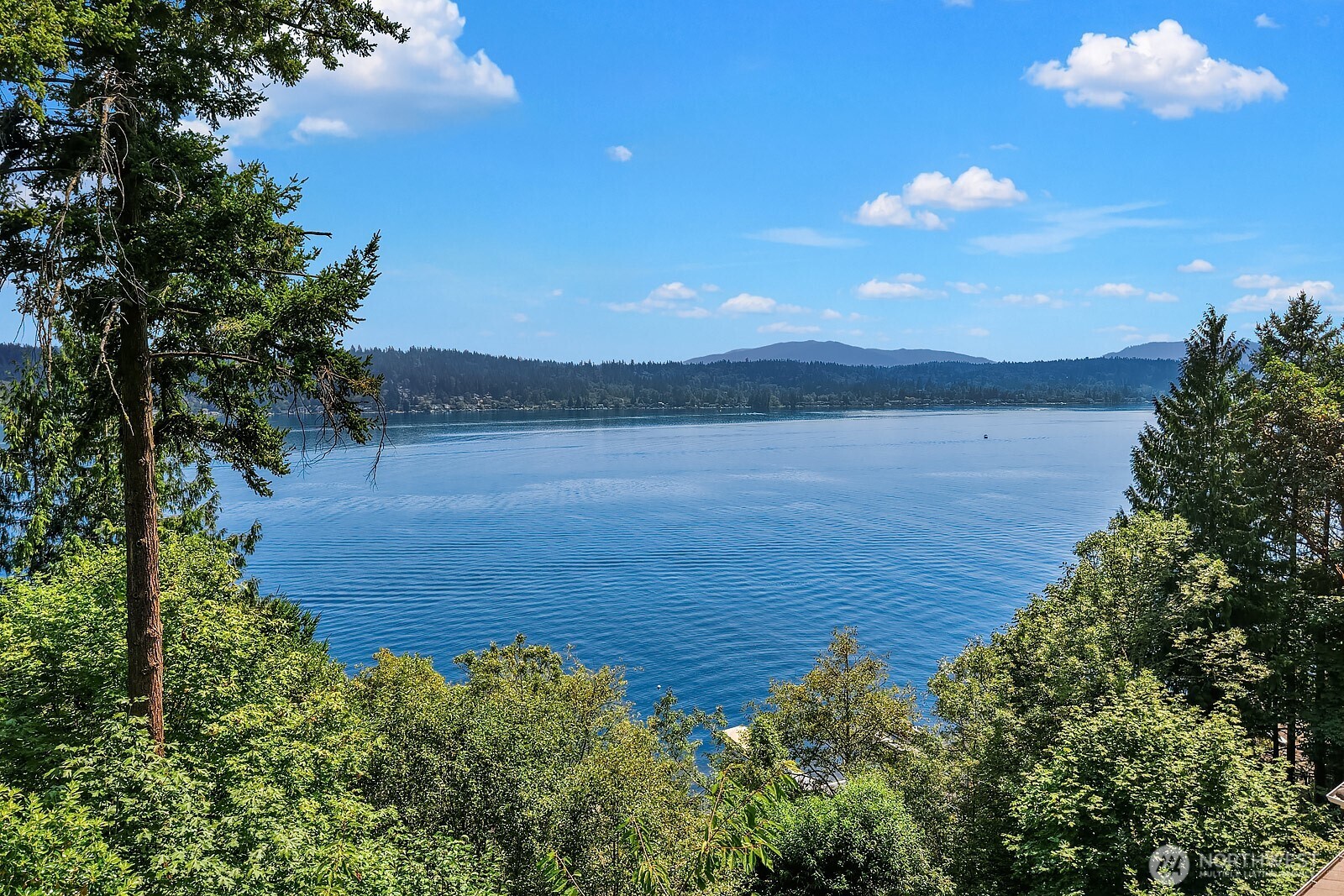 1464 Lake Sammamish Parkway