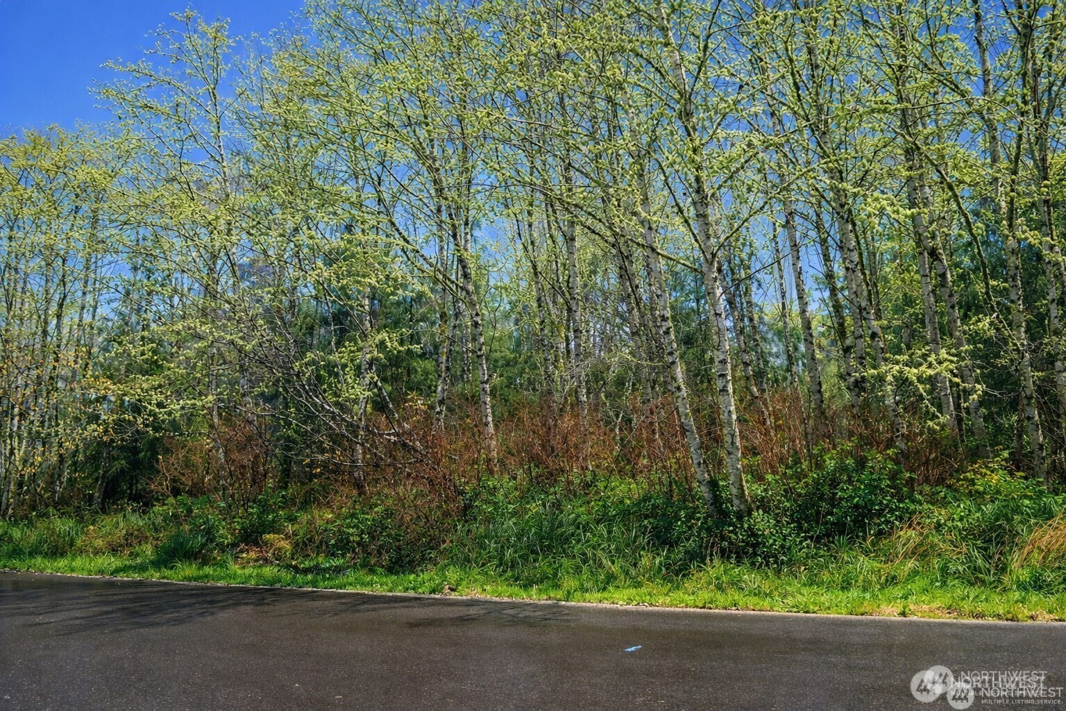 821 Duck Lake Drive