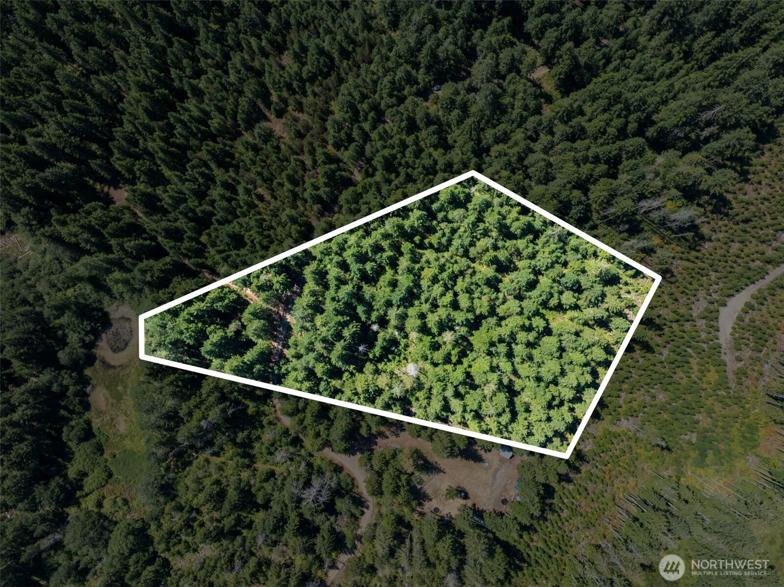 2461 Hanks Lake Road