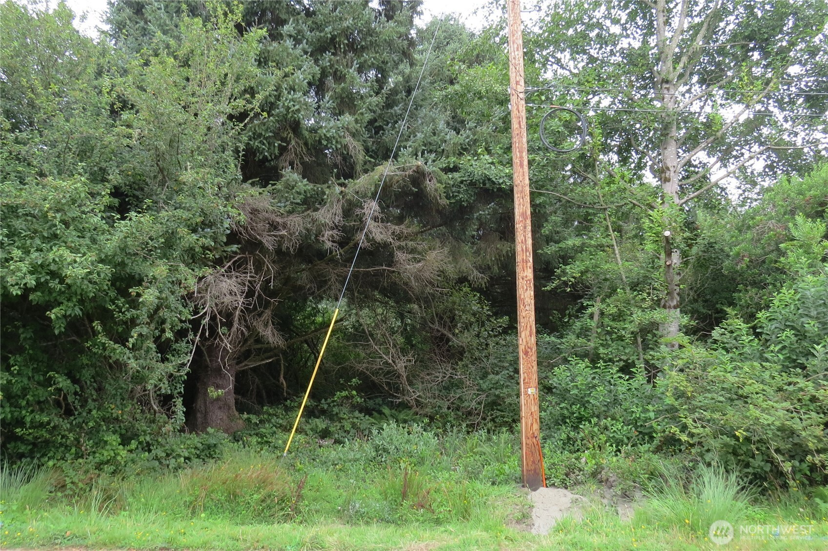 166 Port Loop